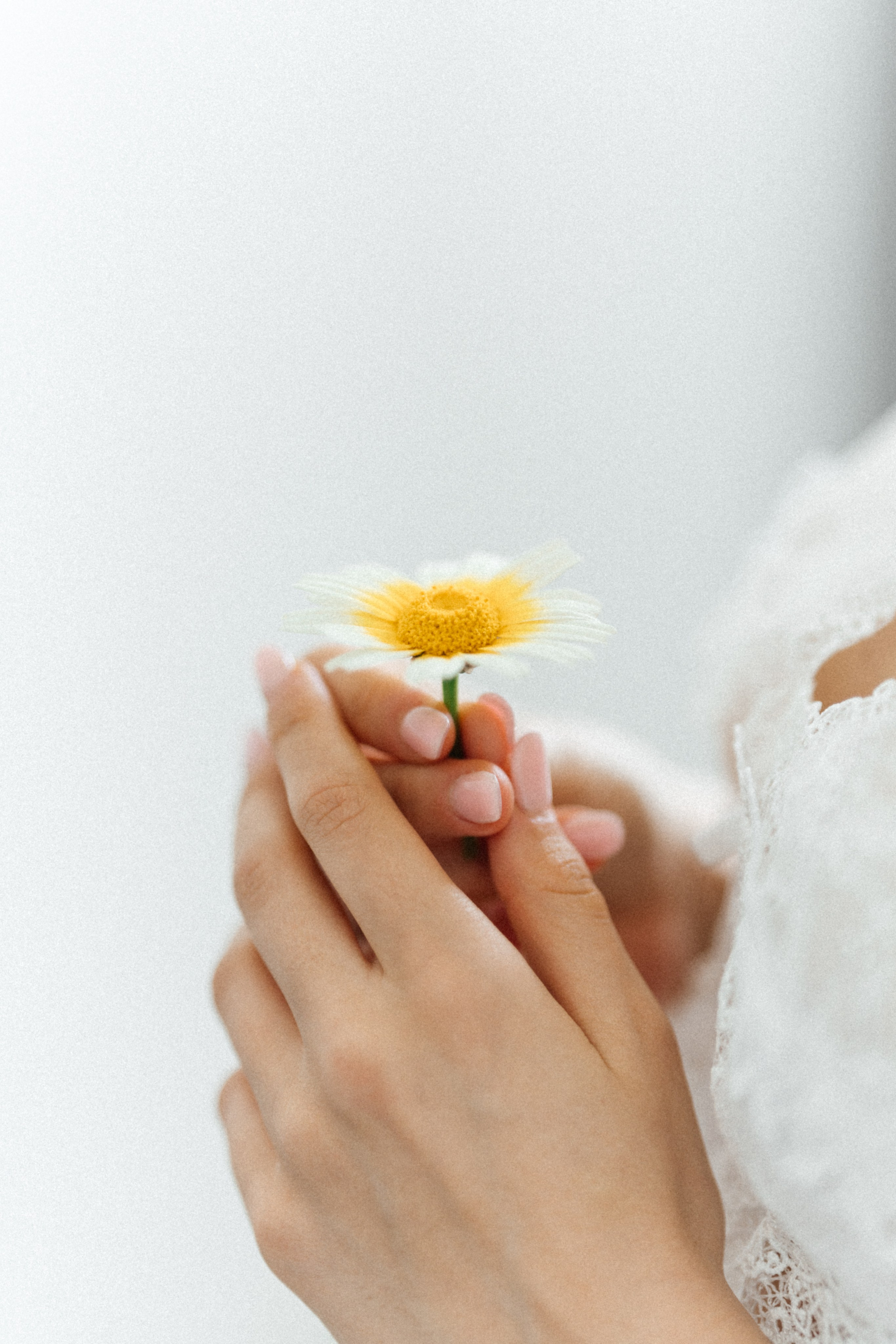 Alyssa&Sean. Весільний фотограф Вікторія Саврук