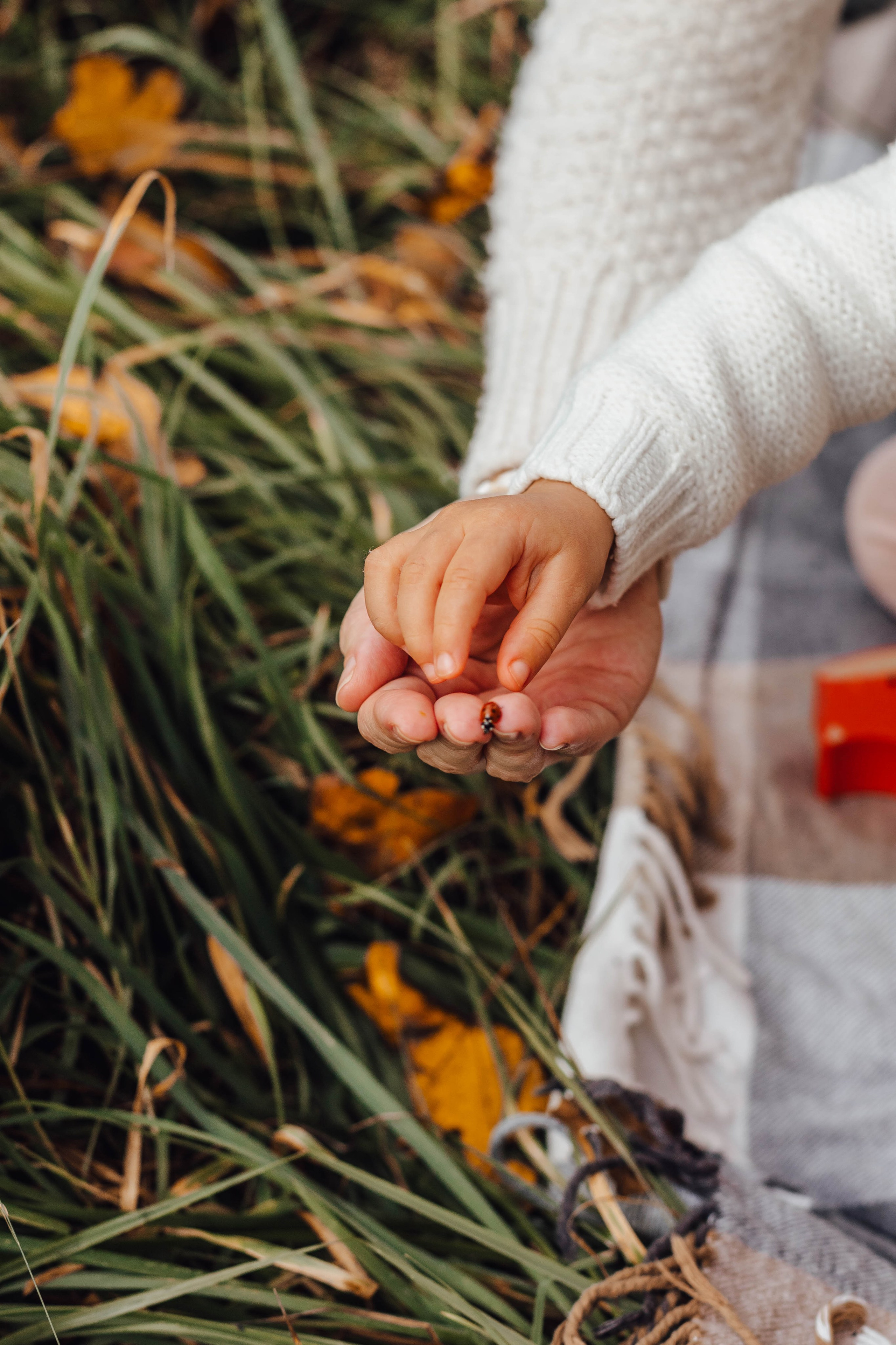Alissa & Vika. Natalia Belov Familien - und Hochzeitsfotografin