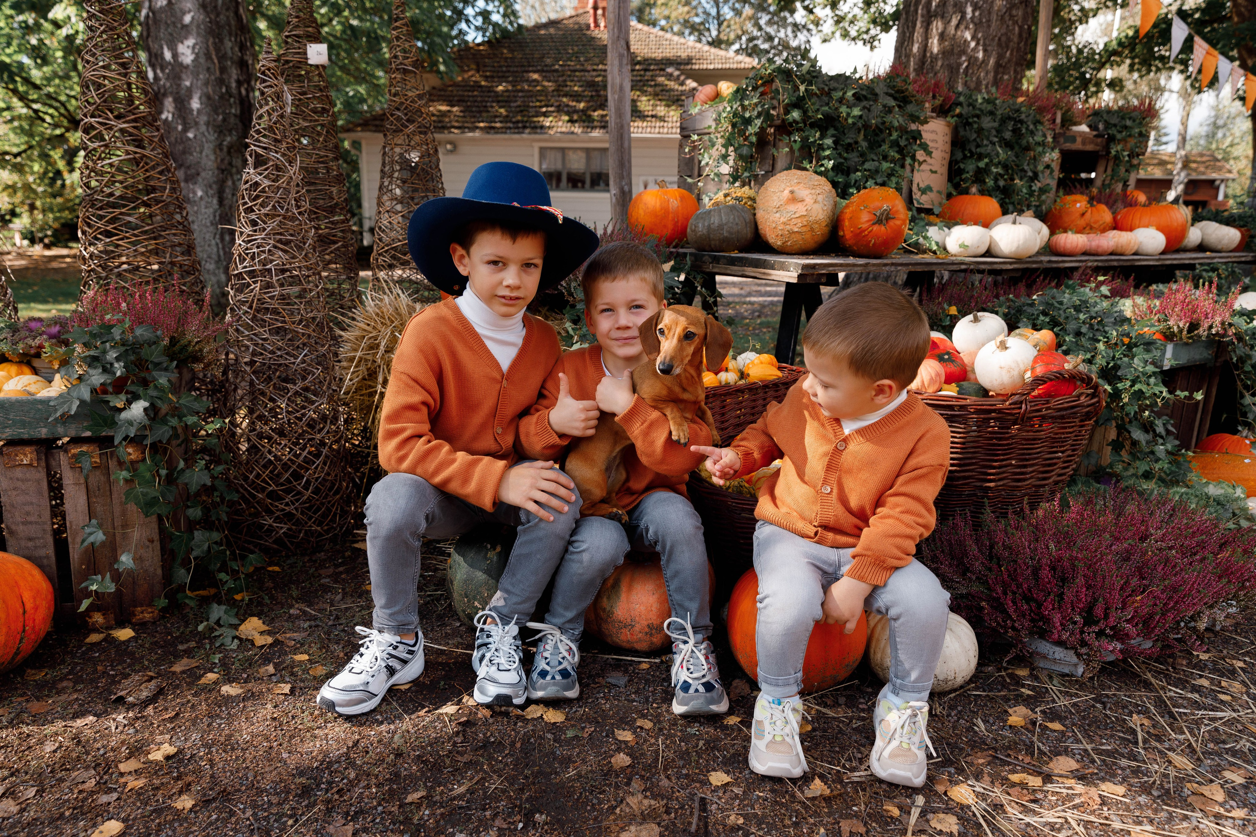 AUTUMN. Silvia Stamati Photography Helsinki