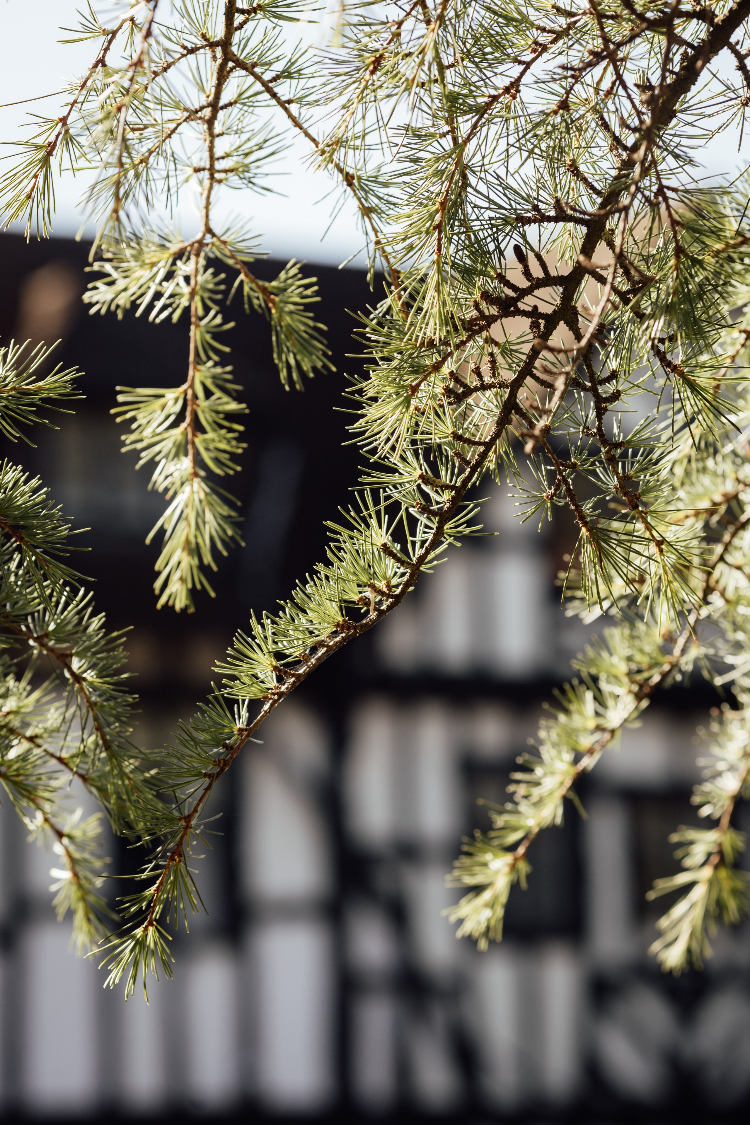 Chloe & Andre -The Manor Elstree, Hertfordshire. Timeless Wedding & Event Photography — based London, working across Europe