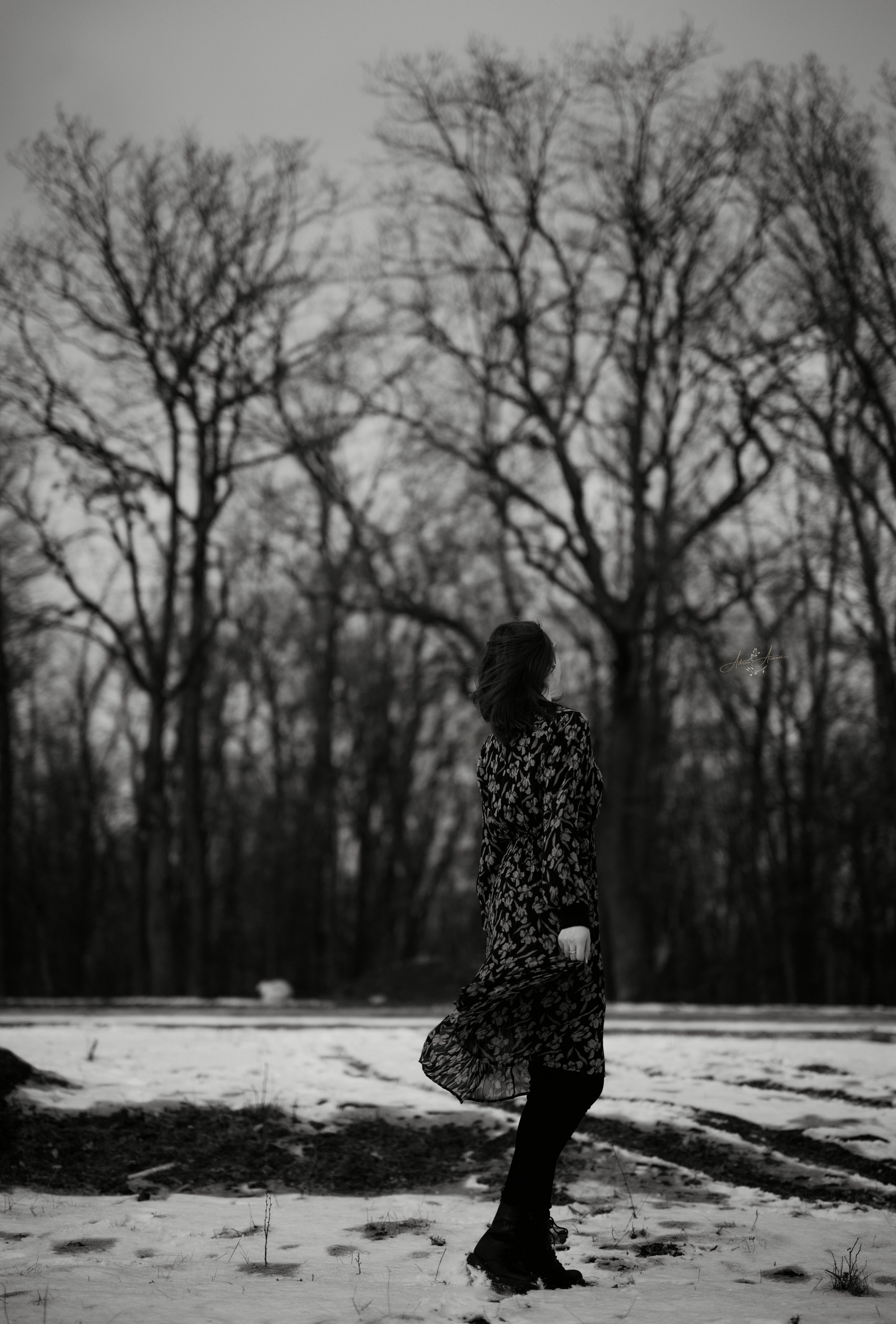 Daria, february 2025. Adrian Aioanei — Fotograf profesionist de nuntă în Iași, Suceava și București. Specializat în evenimente, portrete și fine art