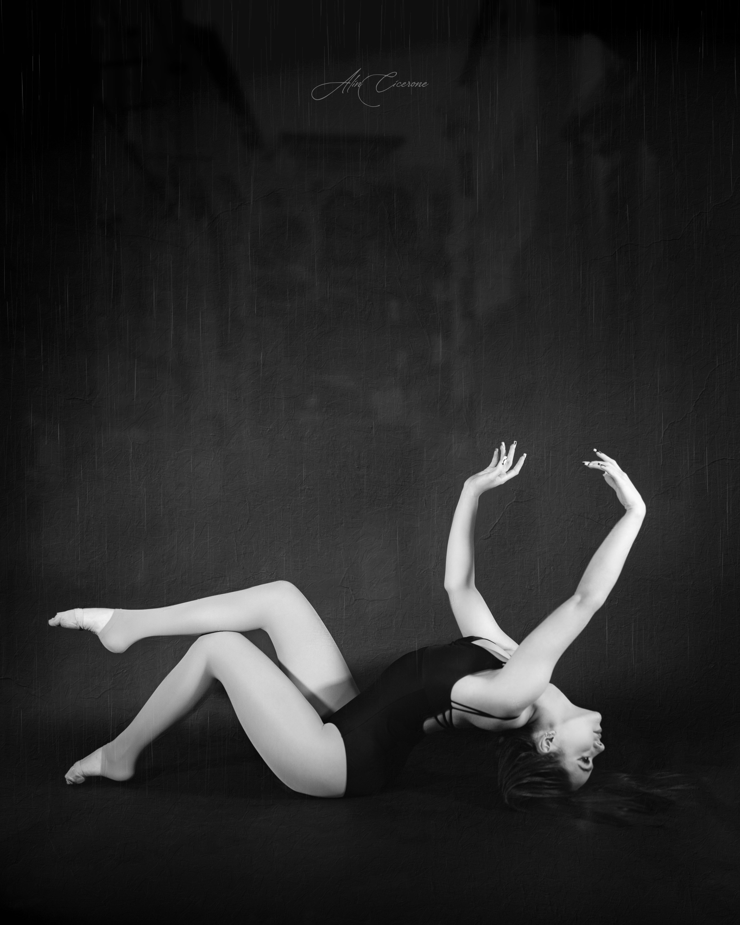 Artist Portfolio. Alin Cicerone | Fotograf FineART Suceava