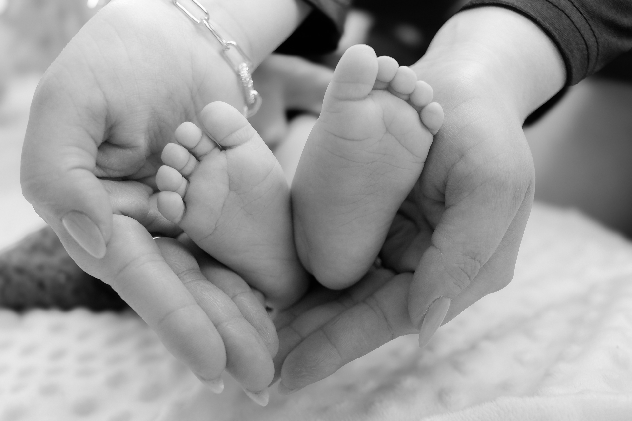 Iris. Fotograf si videograf — evenimente si studio