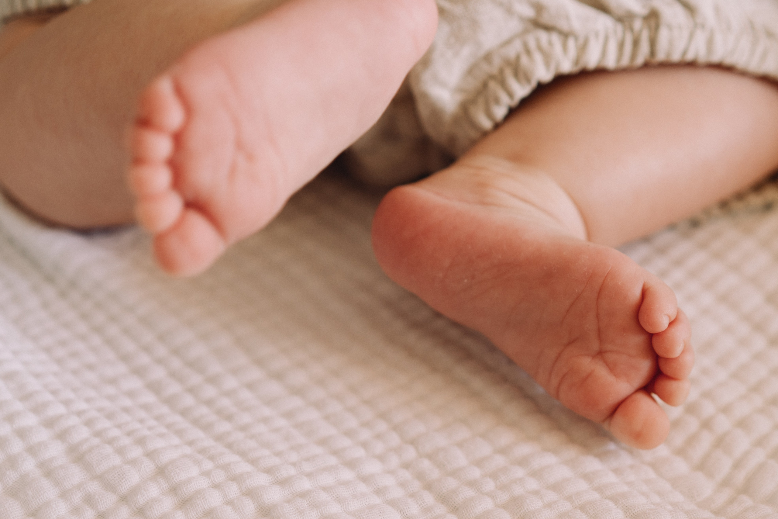 Elena Pretzner Photography