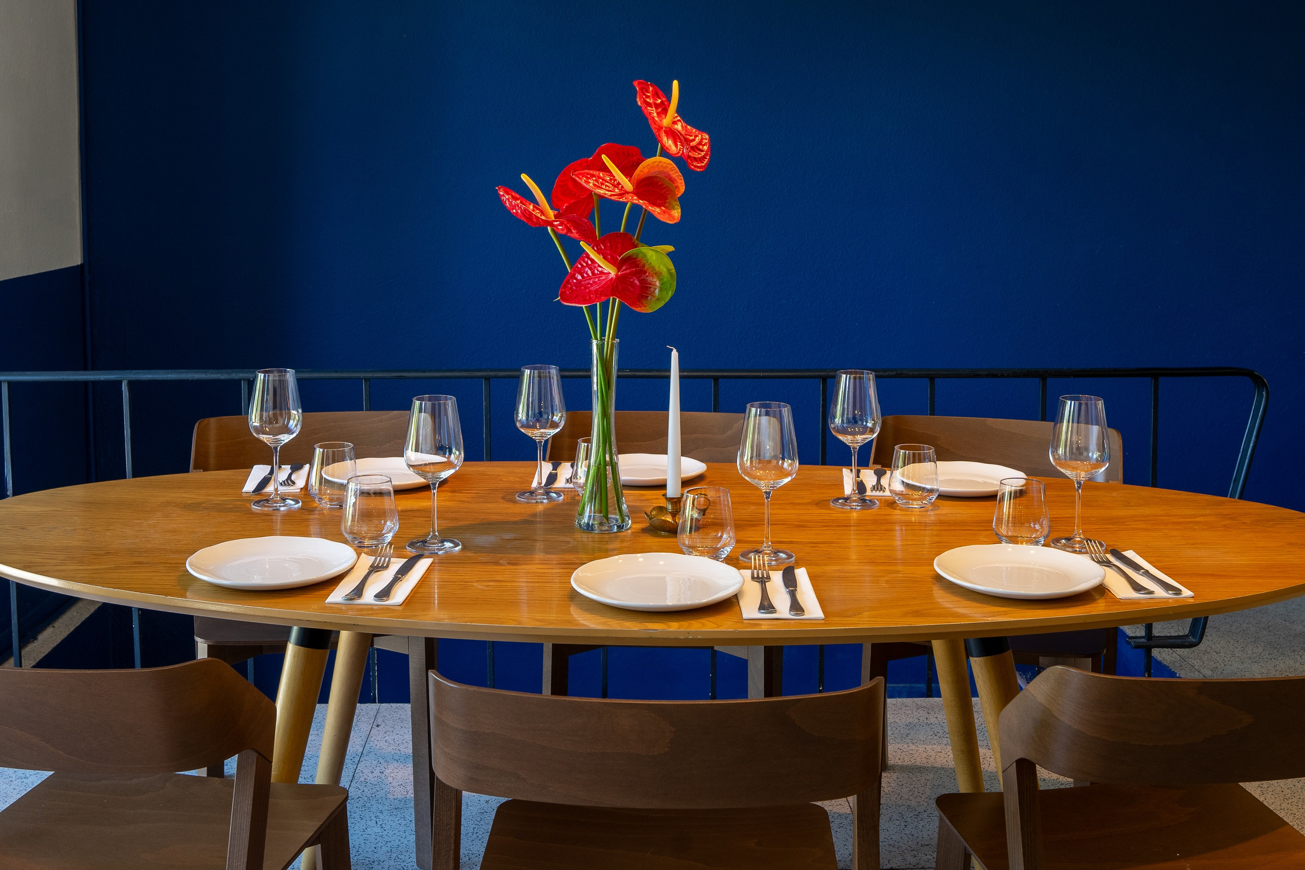 Borboleta. Maria Sher. Fotógrafa profissional do Porto, Portugal