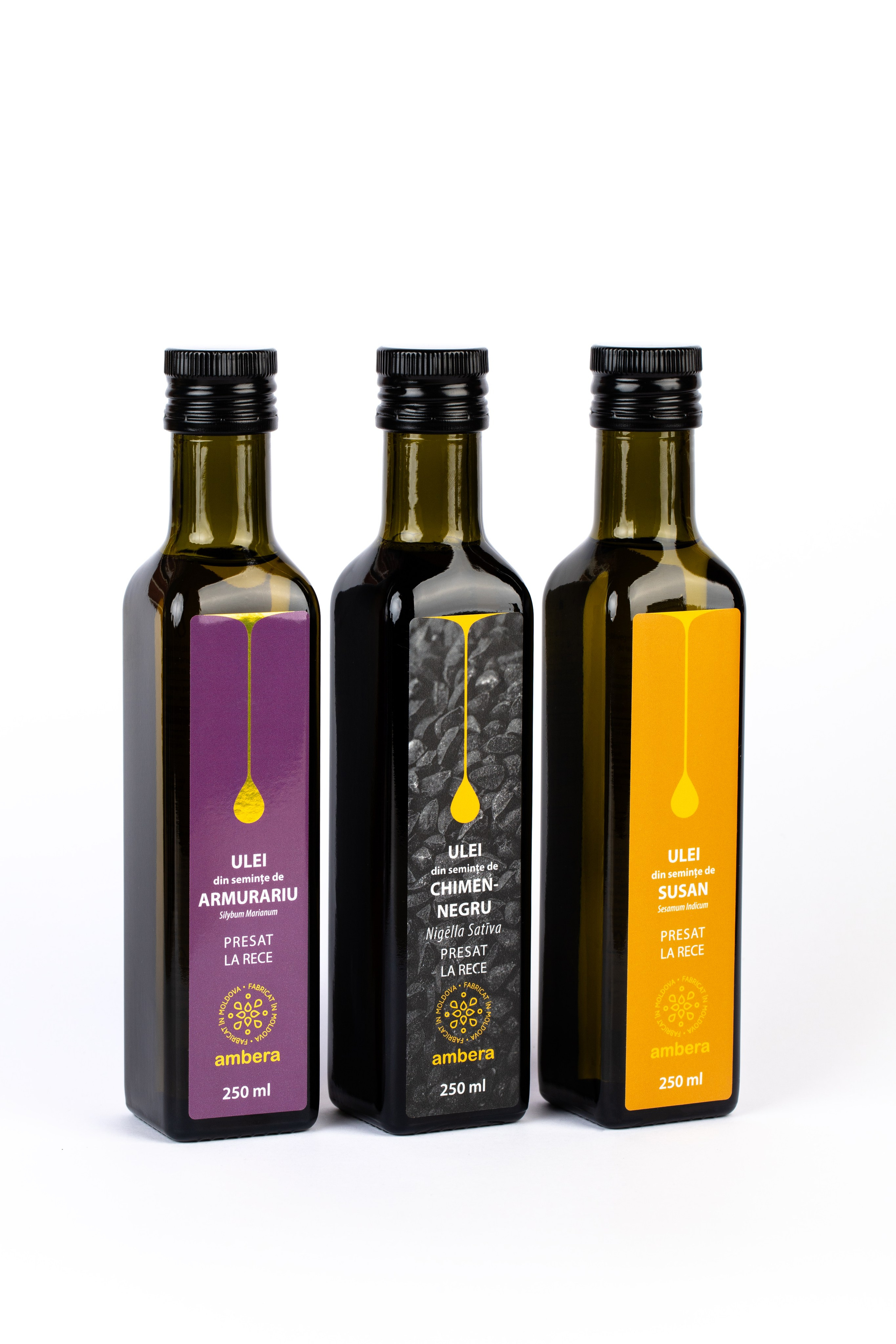 Catalog. Fotograf și Videograf | Chișinău, Moldova