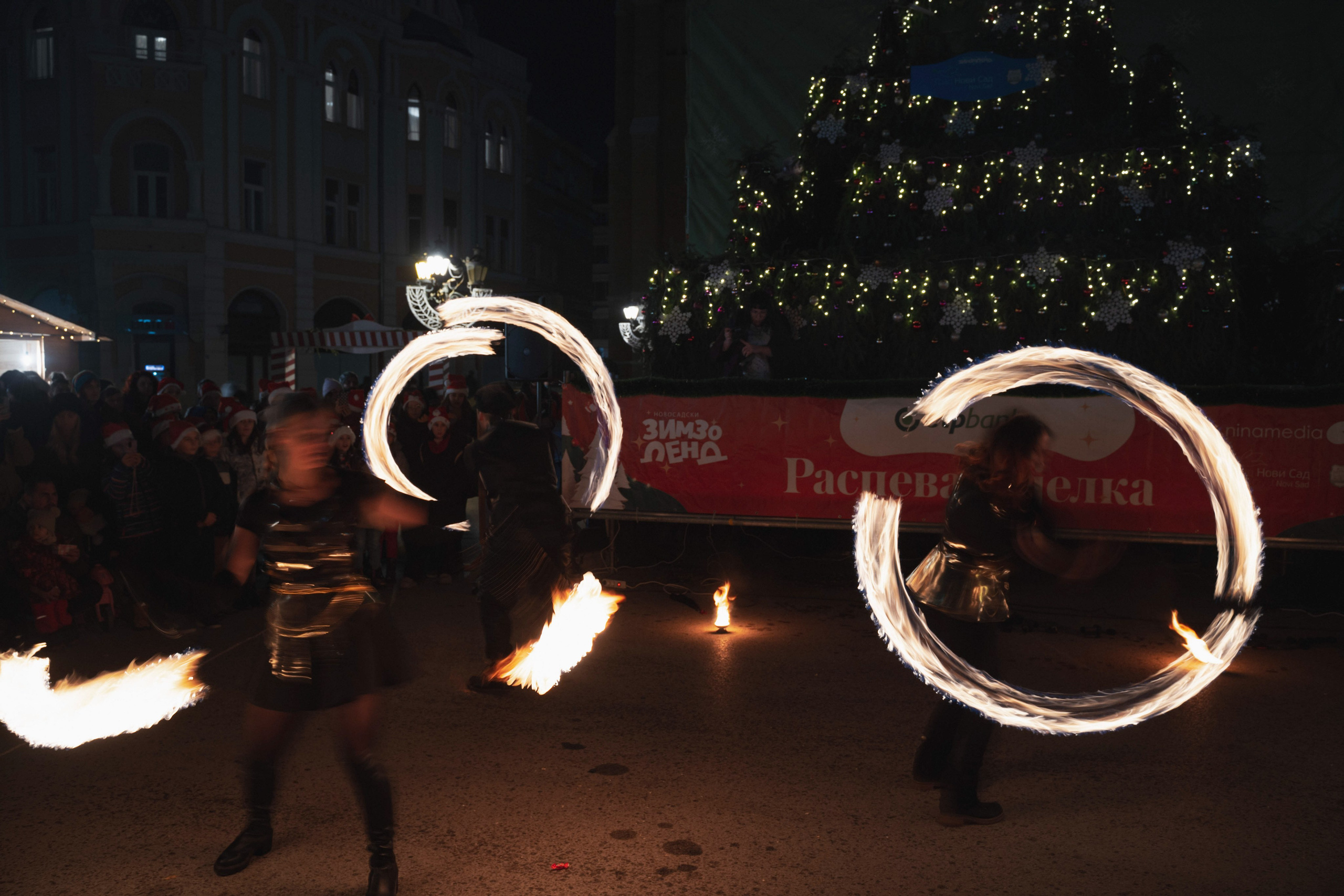 Novosadski Zimzolend. Жуков Студио