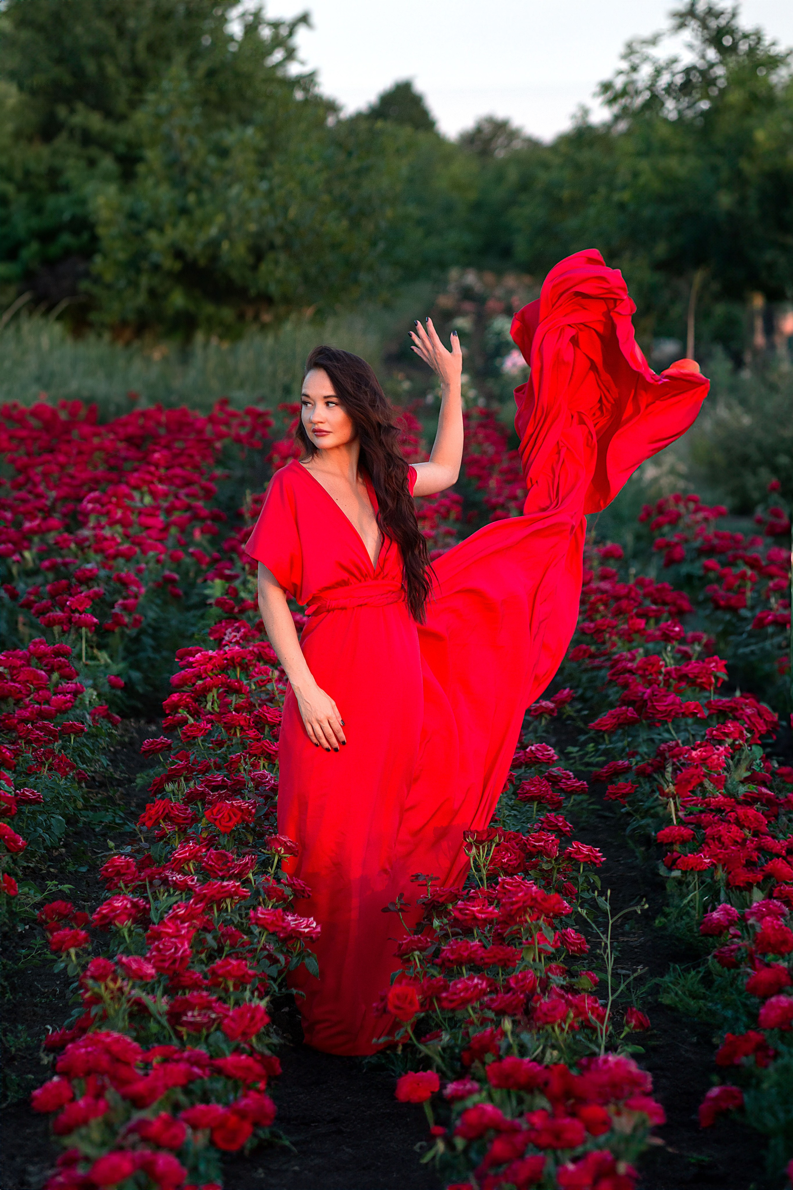 Розы. Детский и семейный фотограф в г. Бельцы