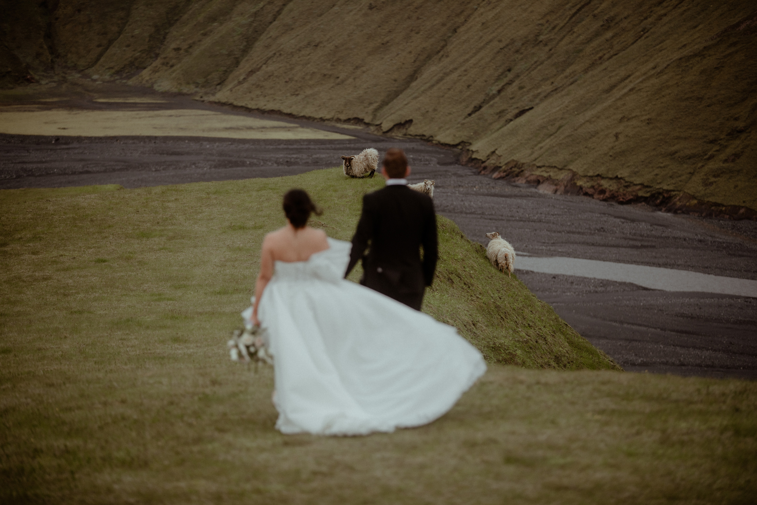 Charming South Iceland Elopement. Iceland elopement photo and video | Nikolaichik Photo