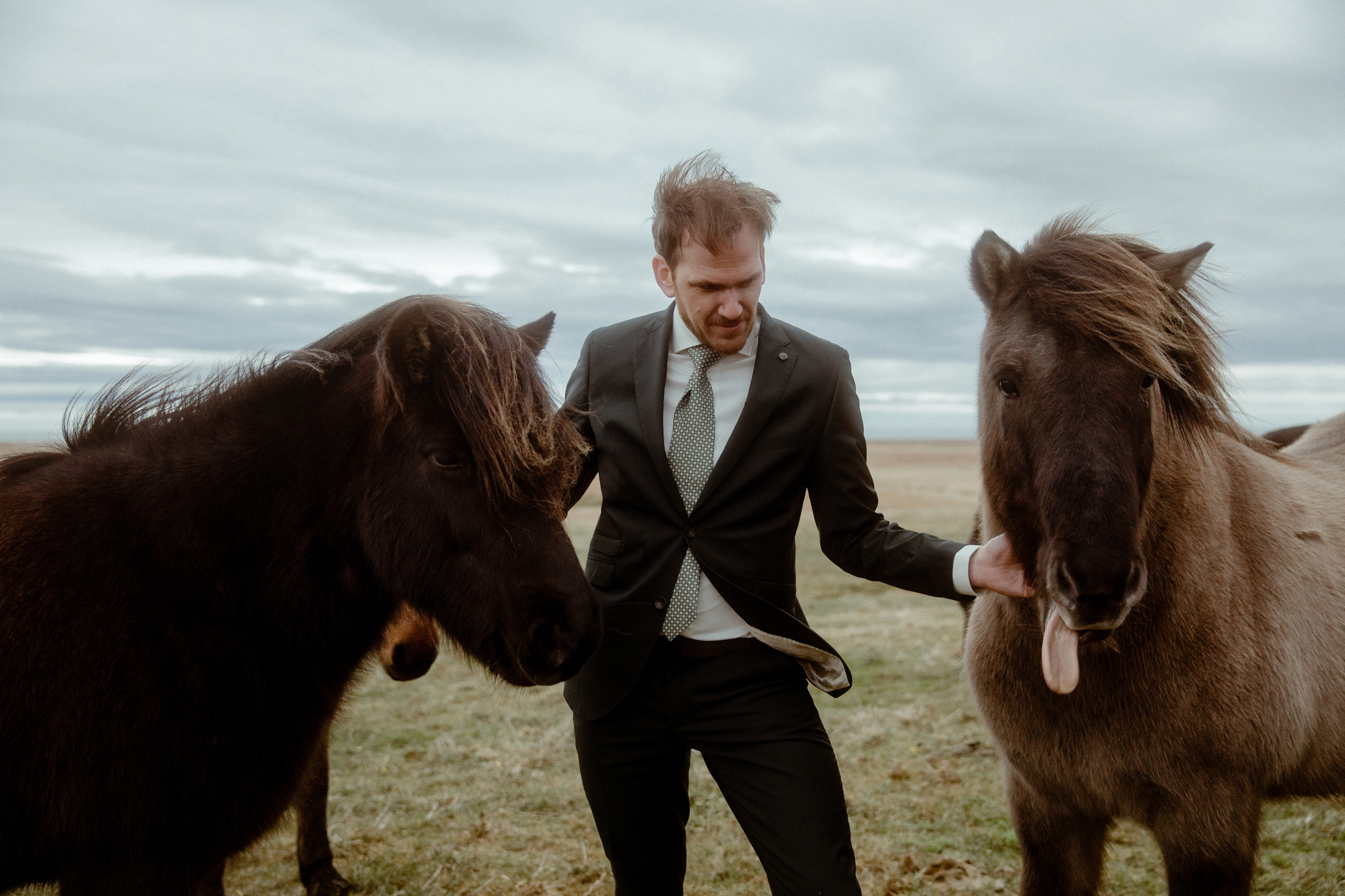 Elopement at Snaefellsnes Iceland | Wedding photos with Icelandic horses. Iceland elopement photo and video | Nikolaichik Photo