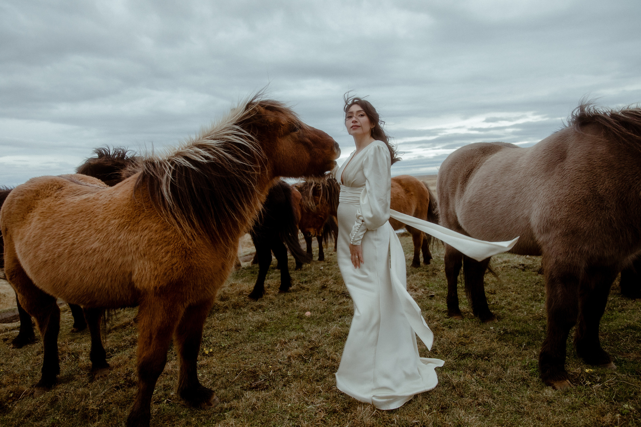 Elopement at Snaefellsnes Iceland | Wedding photos with Icelandic horses. Iceland elopement photo and video | Nikolaichik Photo