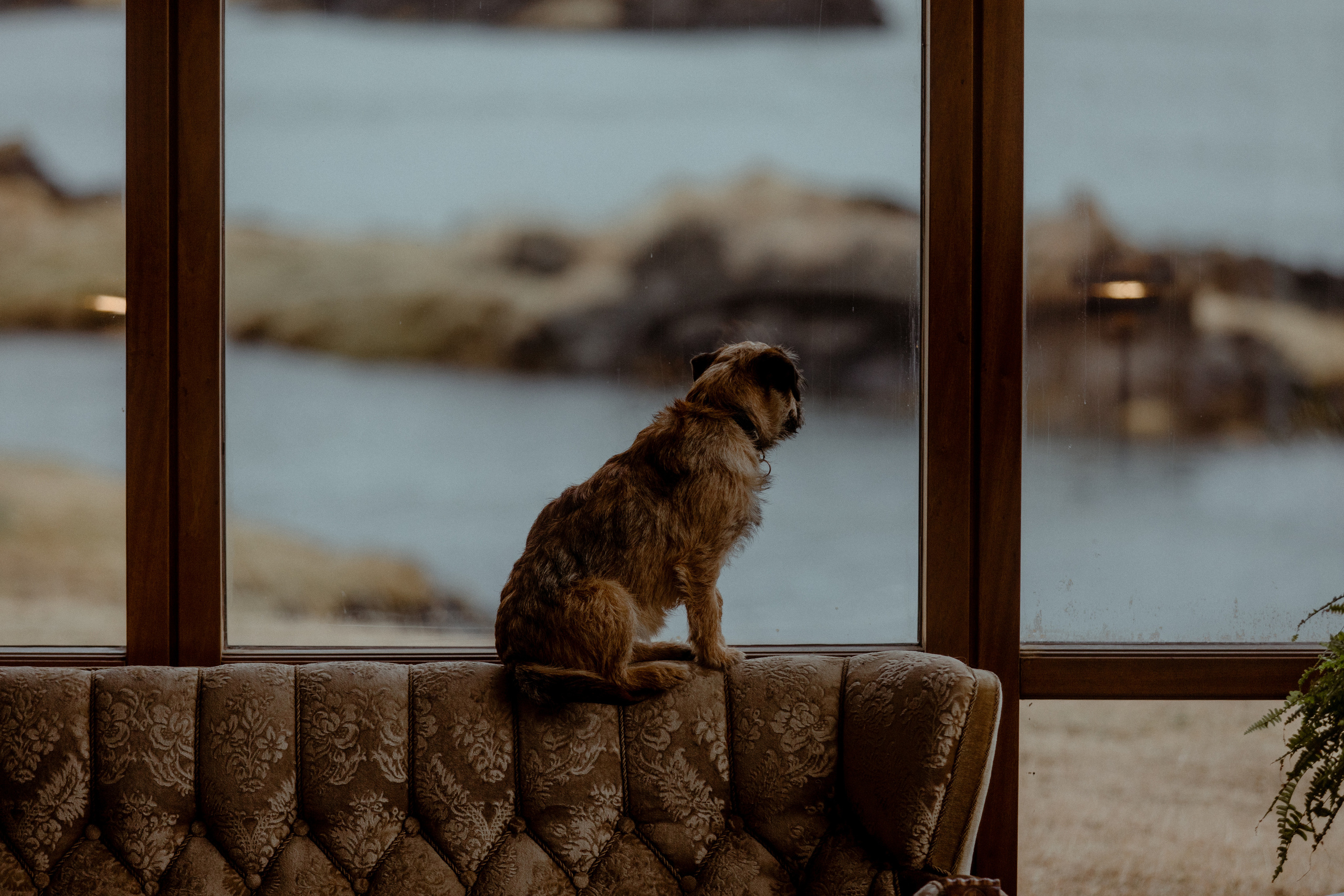 Elopement at Snaefellsnes Iceland | Wedding photos with Icelandic horses. Iceland elopement photo and video | Nikolaichik Photo