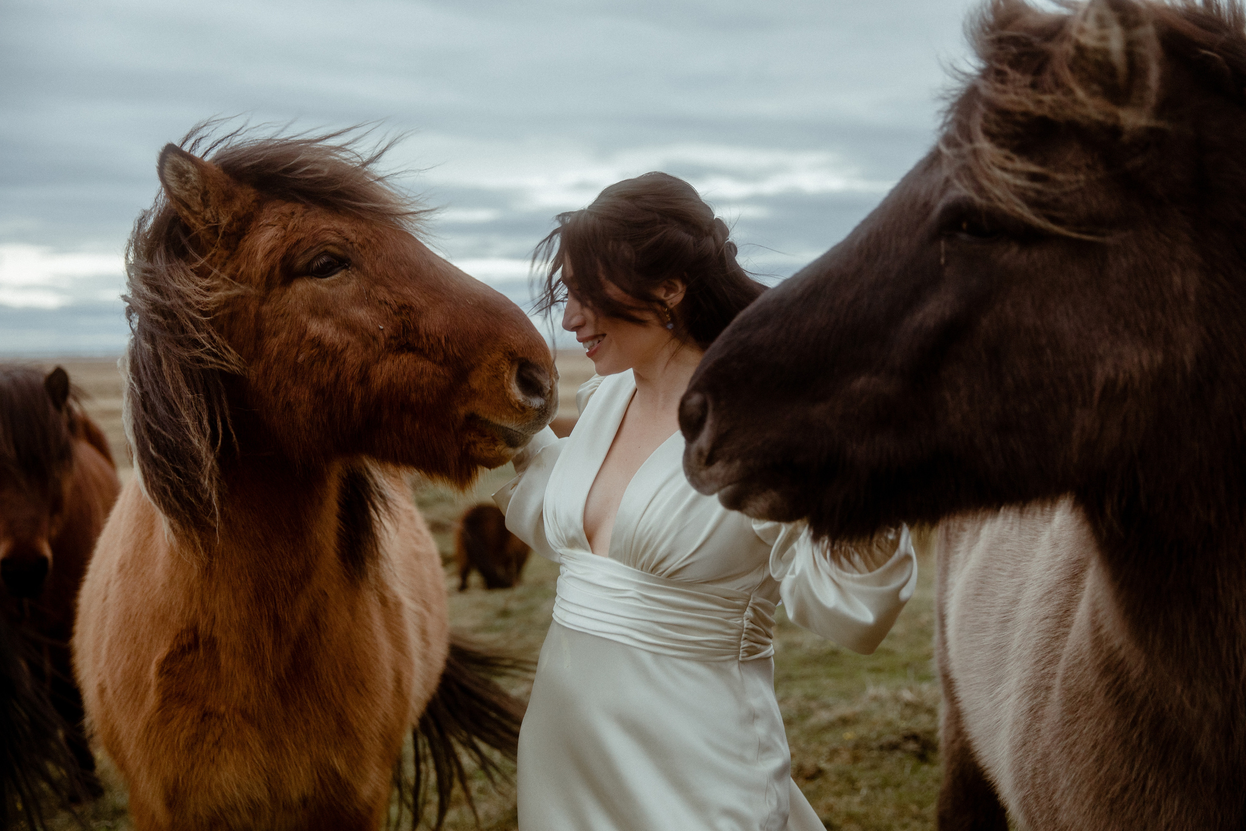 Elopement at Snaefellsnes Iceland | Wedding photos with Icelandic horses. Iceland elopement photo and video | Nikolaichik Photo