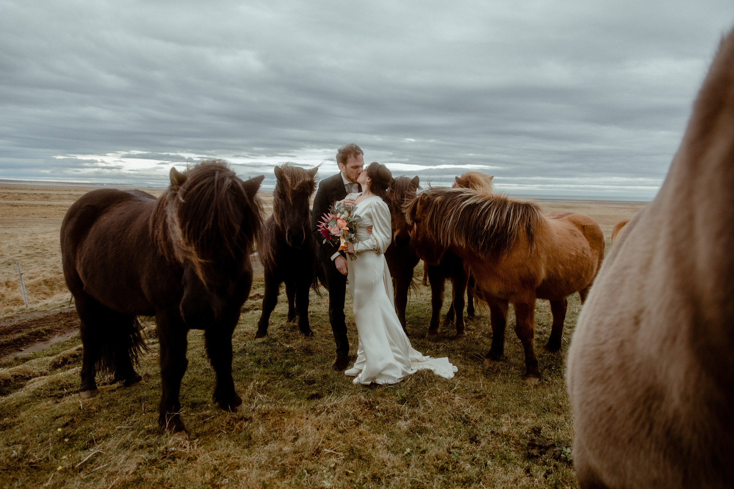 Elopement at Snaefellsnes Iceland | Wedding photos with Icelandic horses. Iceland elopement photo and video | Nikolaichik Photo