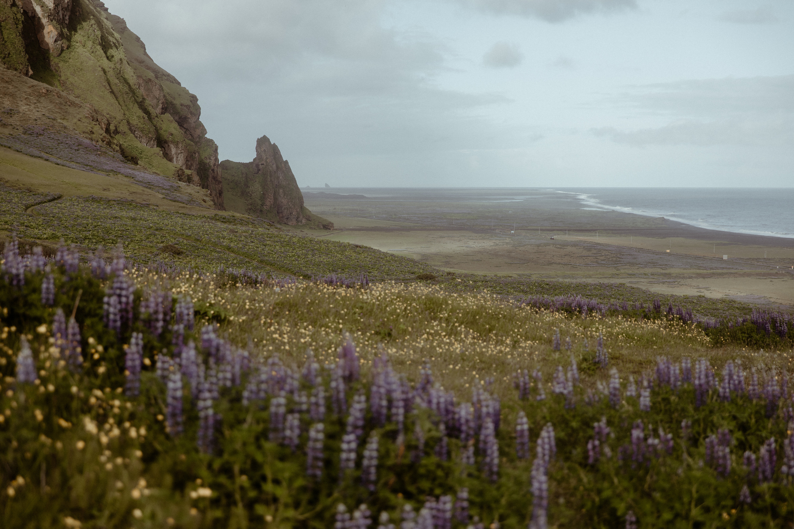 Private Black Sand Beach Elopement. Iceland elopement photographer & videographer