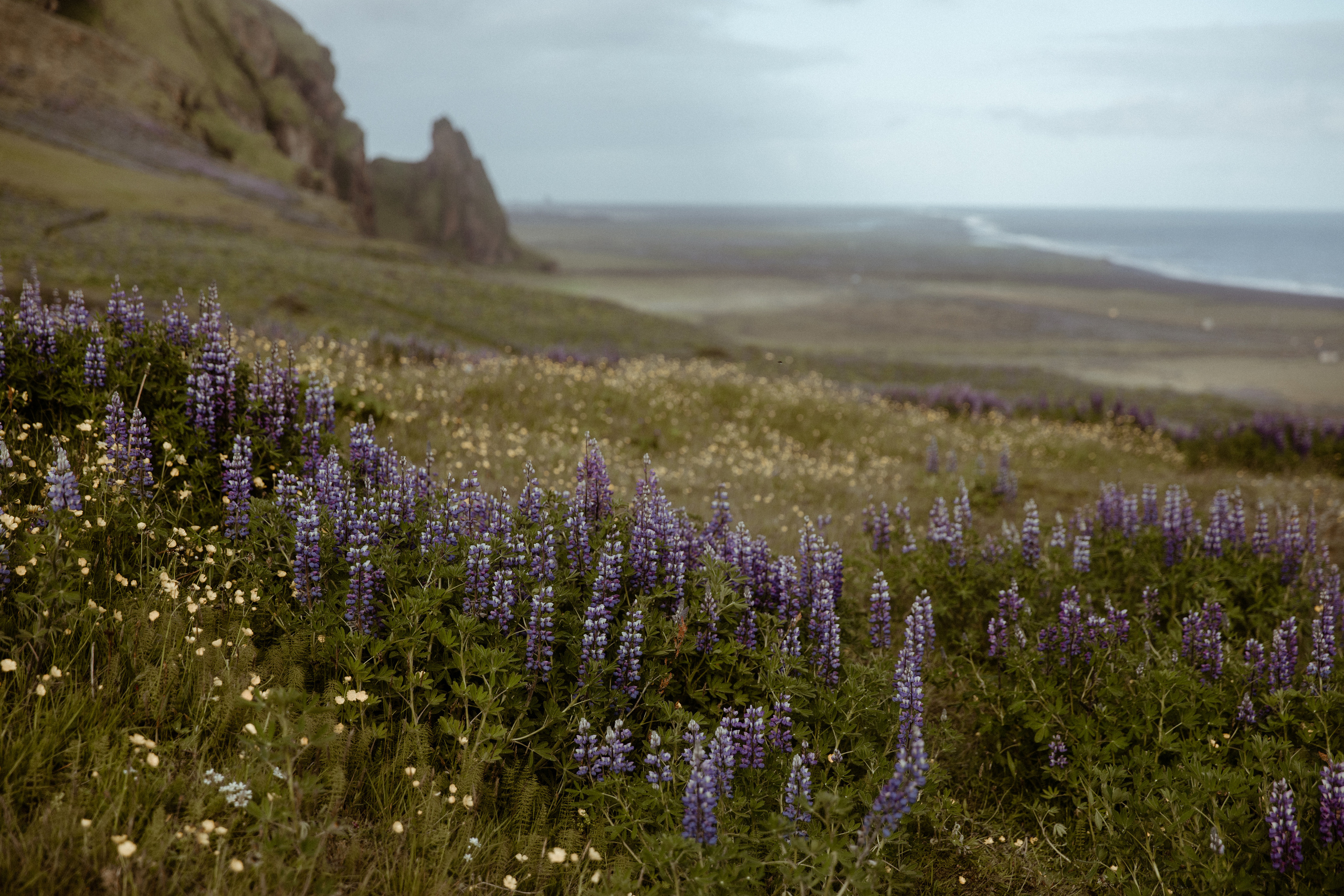 Private Black Sand Beach Elopement. Iceland elopement photographer & videographer