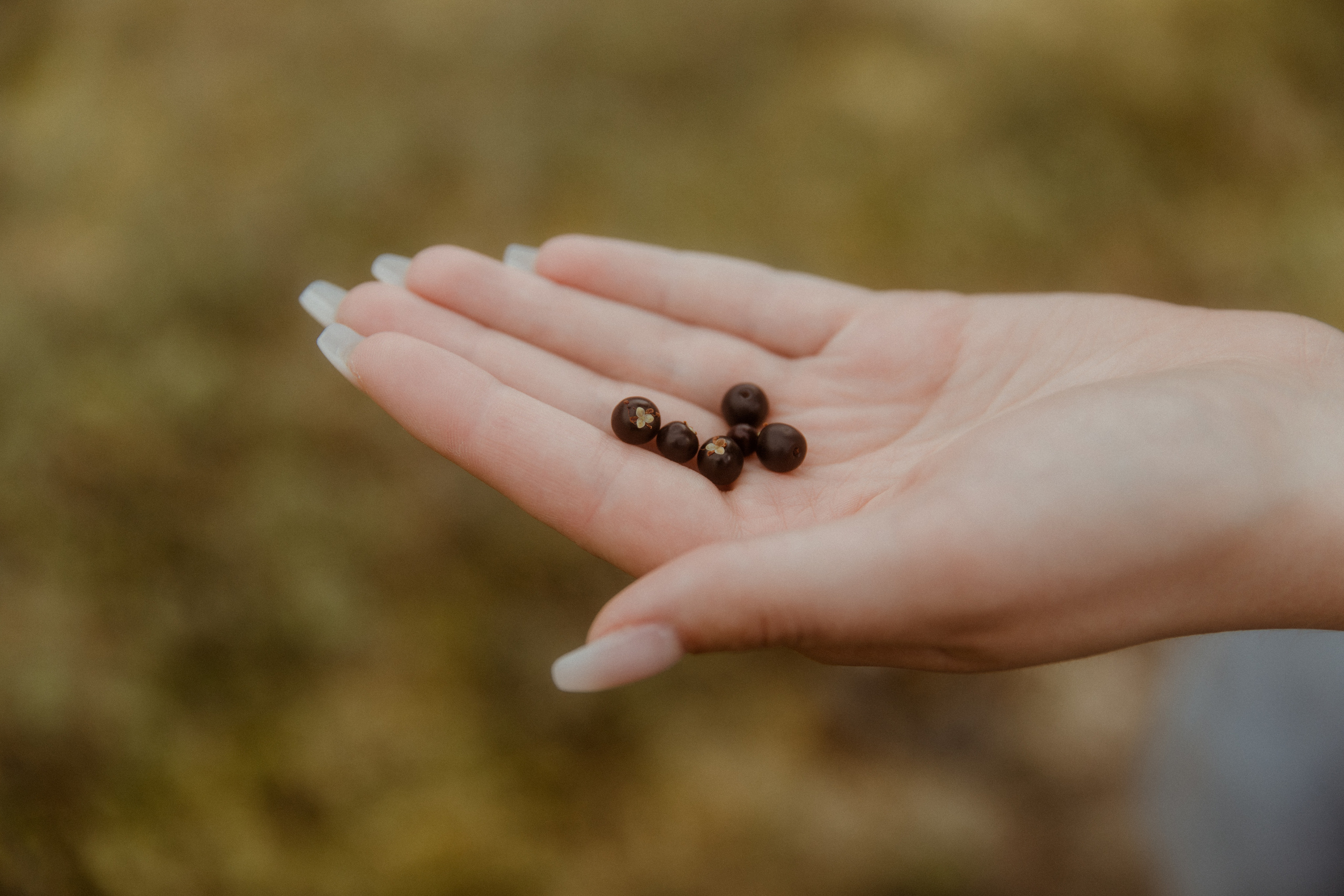 Iceland Secret Waterfall Elopement. Iceland elopement photo and video | Nikolaichik Photo