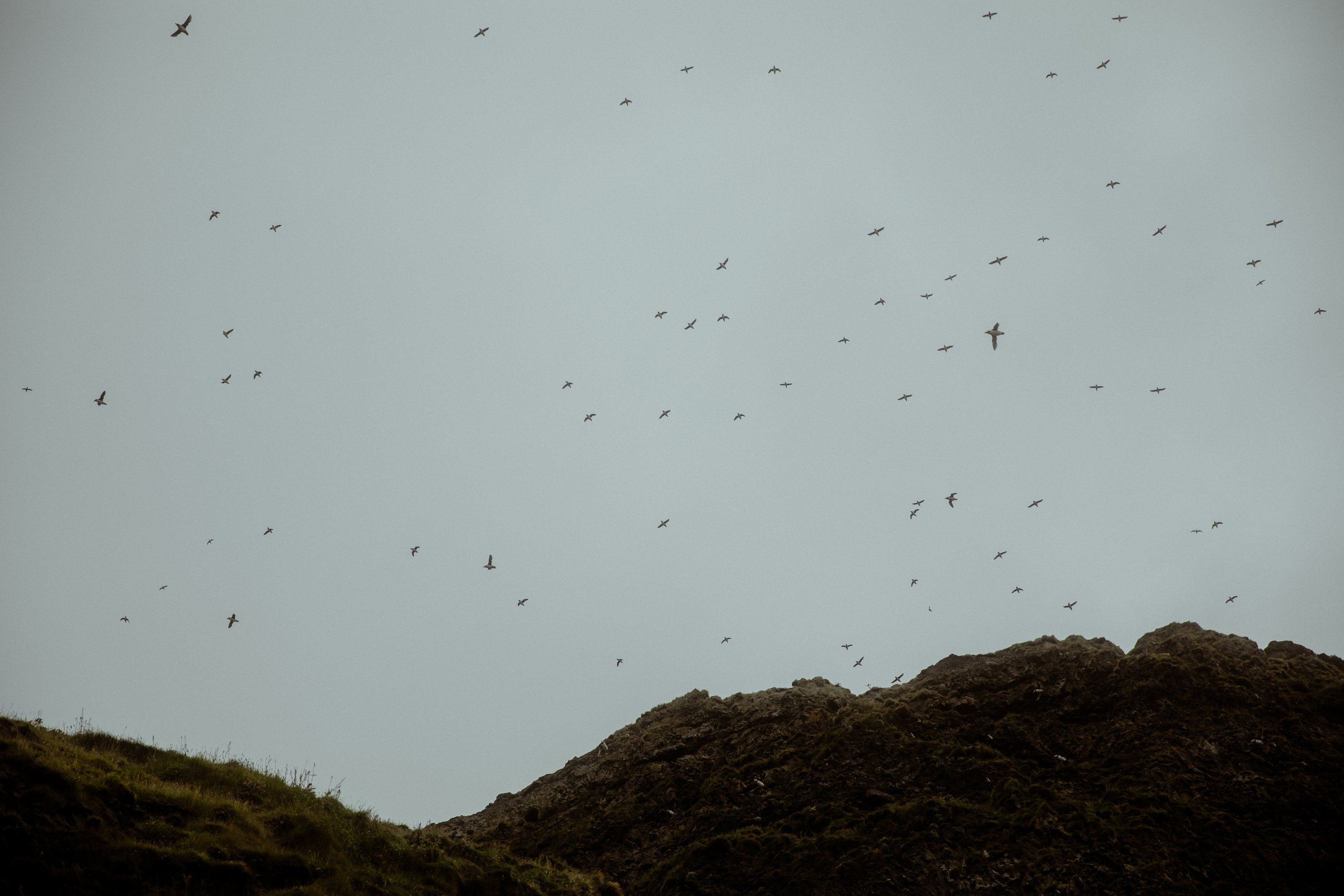Engagement photoshoot in South Iceland. Iceland elopement photo and video | Nikolaichik Photo