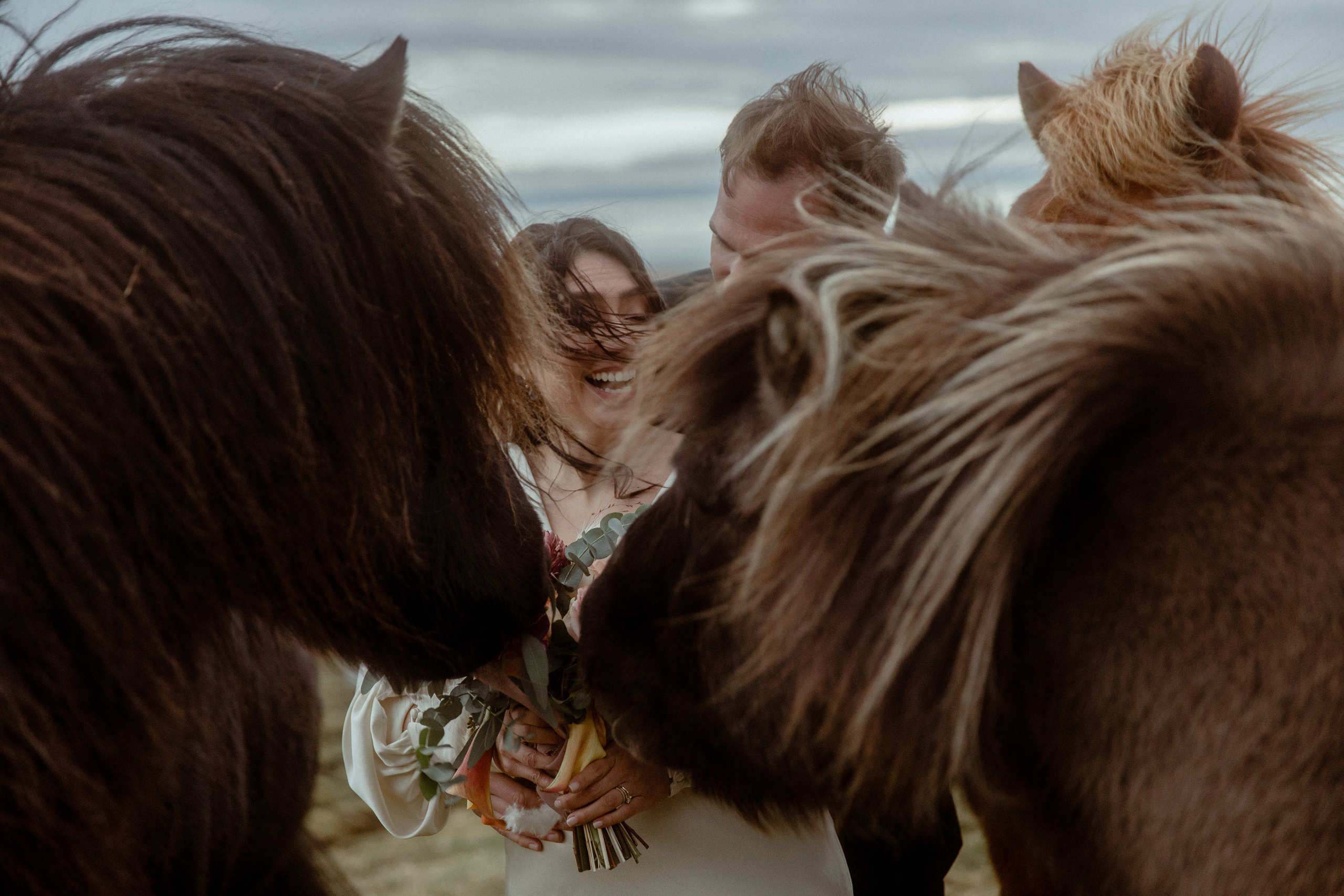 Elopement at Snaefellsnes Iceland | Wedding photos with Icelandic horses. Iceland elopement photo and video | Nikolaichik Photo
