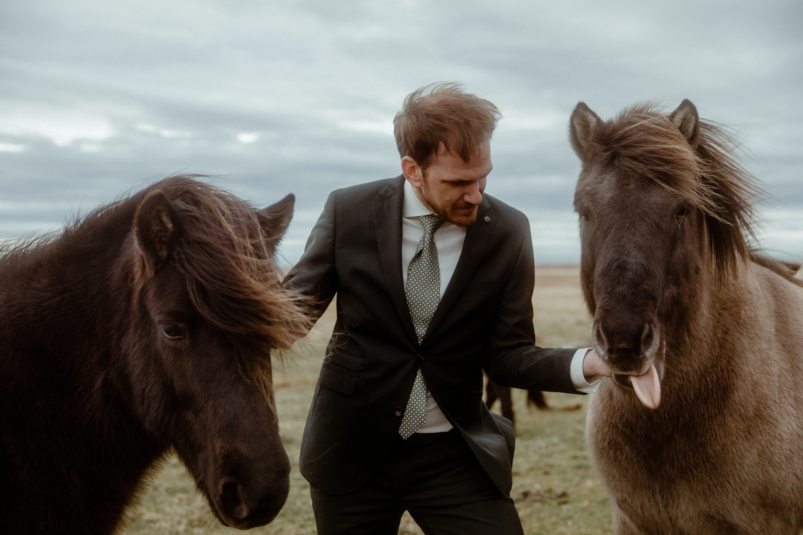 Elopement at Snaefellsnes Iceland | Wedding photos with Icelandic horses. Iceland elopement photo and video | Nikolaichik Photo