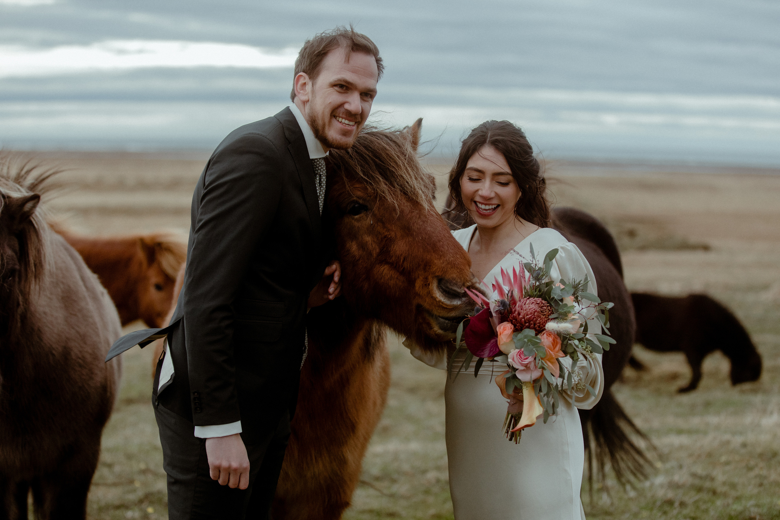 Elopement at Snaefellsnes Iceland | Wedding photos with Icelandic horses. Iceland elopement photo and video | Nikolaichik Photo