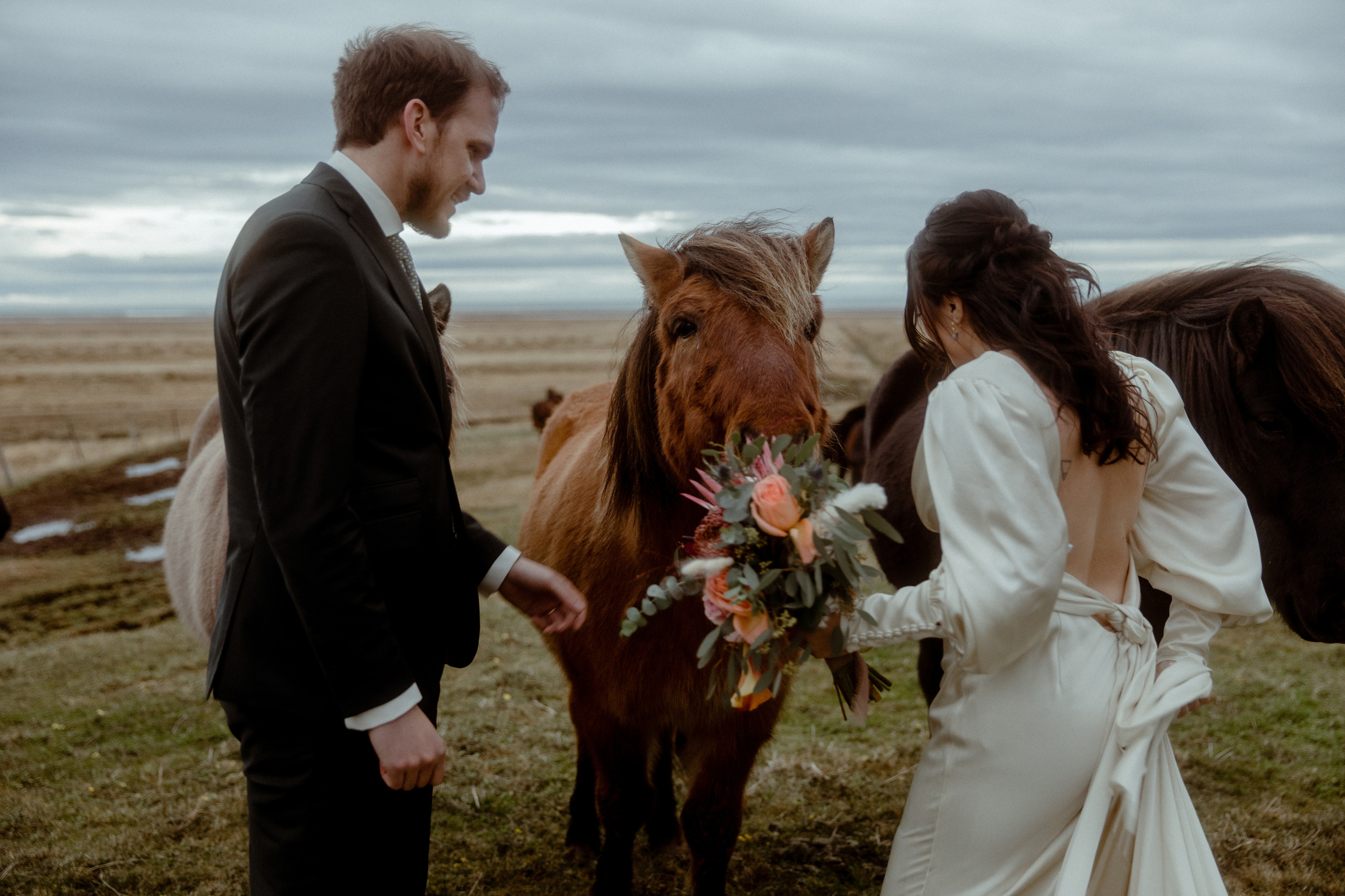 Elopement at Snaefellsnes Iceland | Wedding photos with Icelandic horses. Iceland elopement photo and video | Nikolaichik Photo