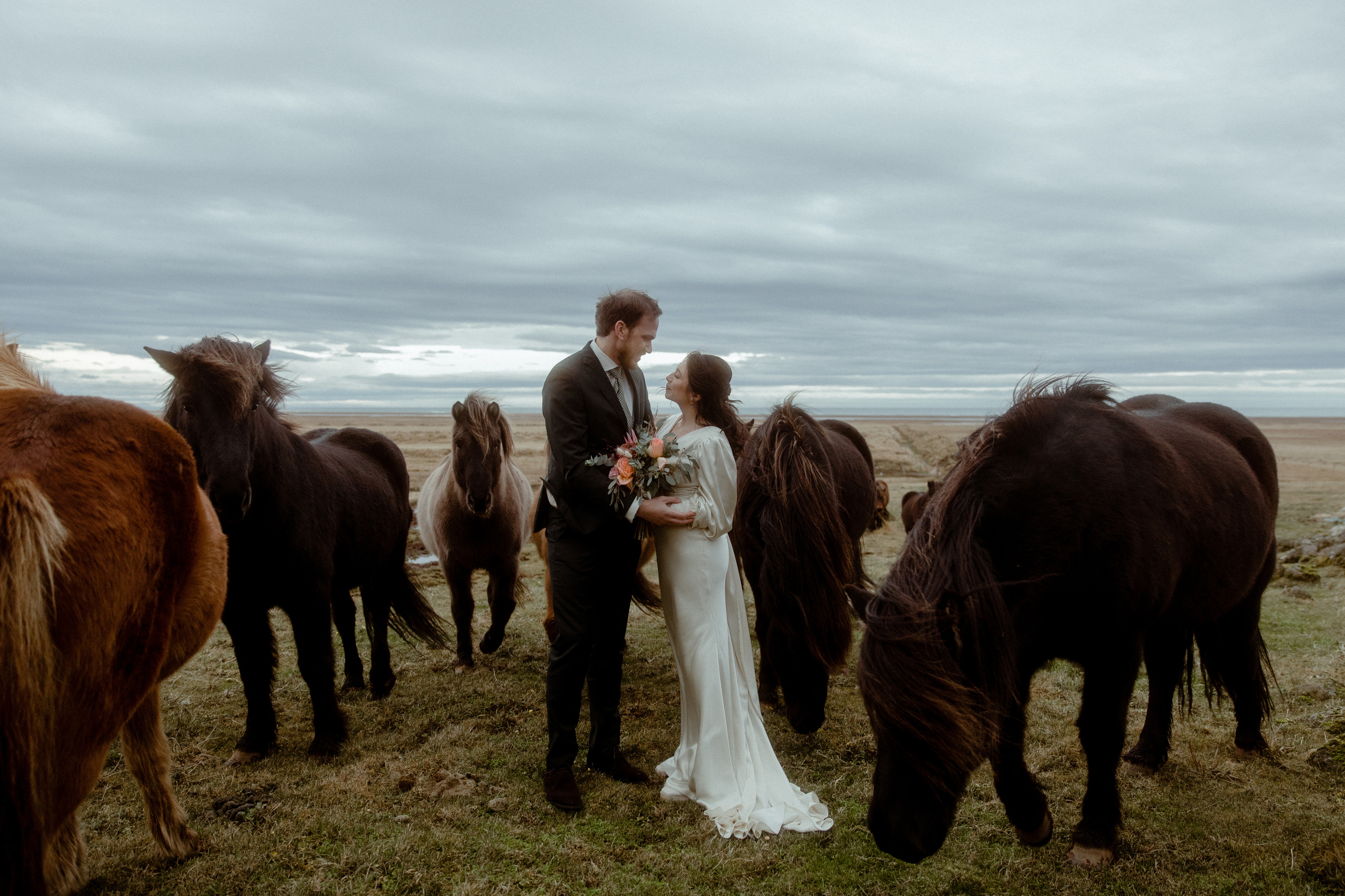 Elopement at Snaefellsnes Iceland | Wedding photos with Icelandic horses. Iceland elopement photo and video | Nikolaichik Photo