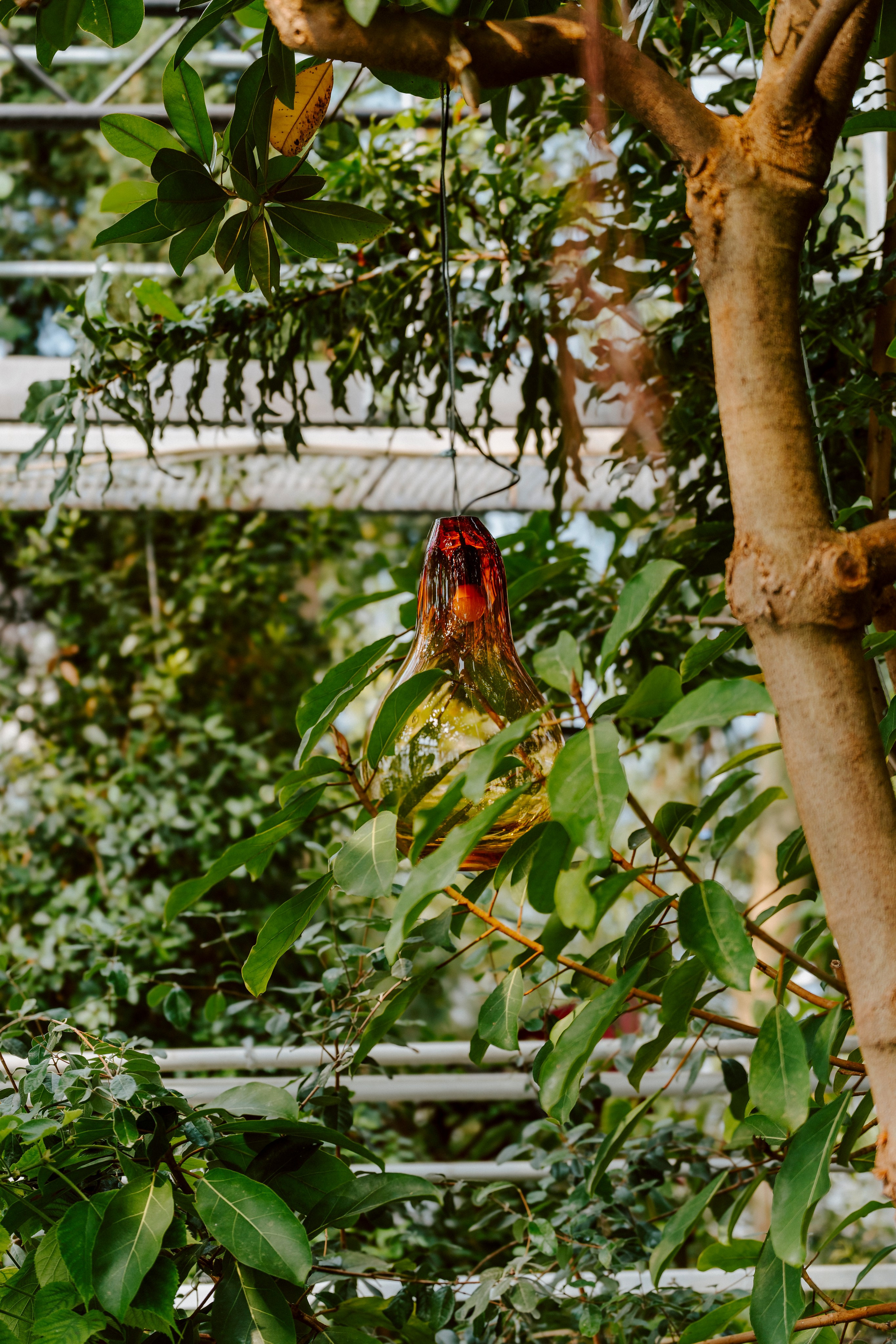 Gallery. Natasha Shakh