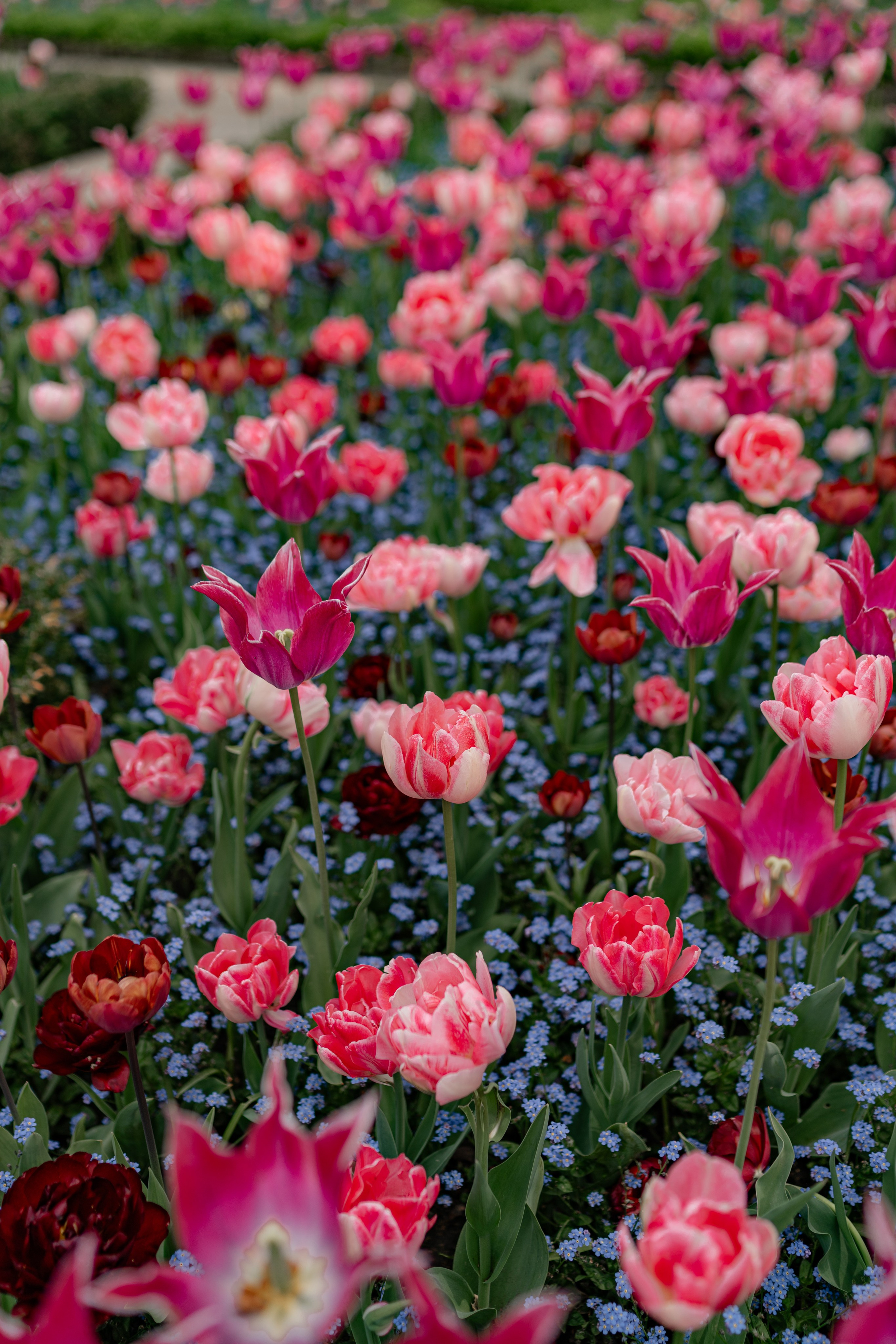 Hysteria. Tonya Kyrylenko photographer in London