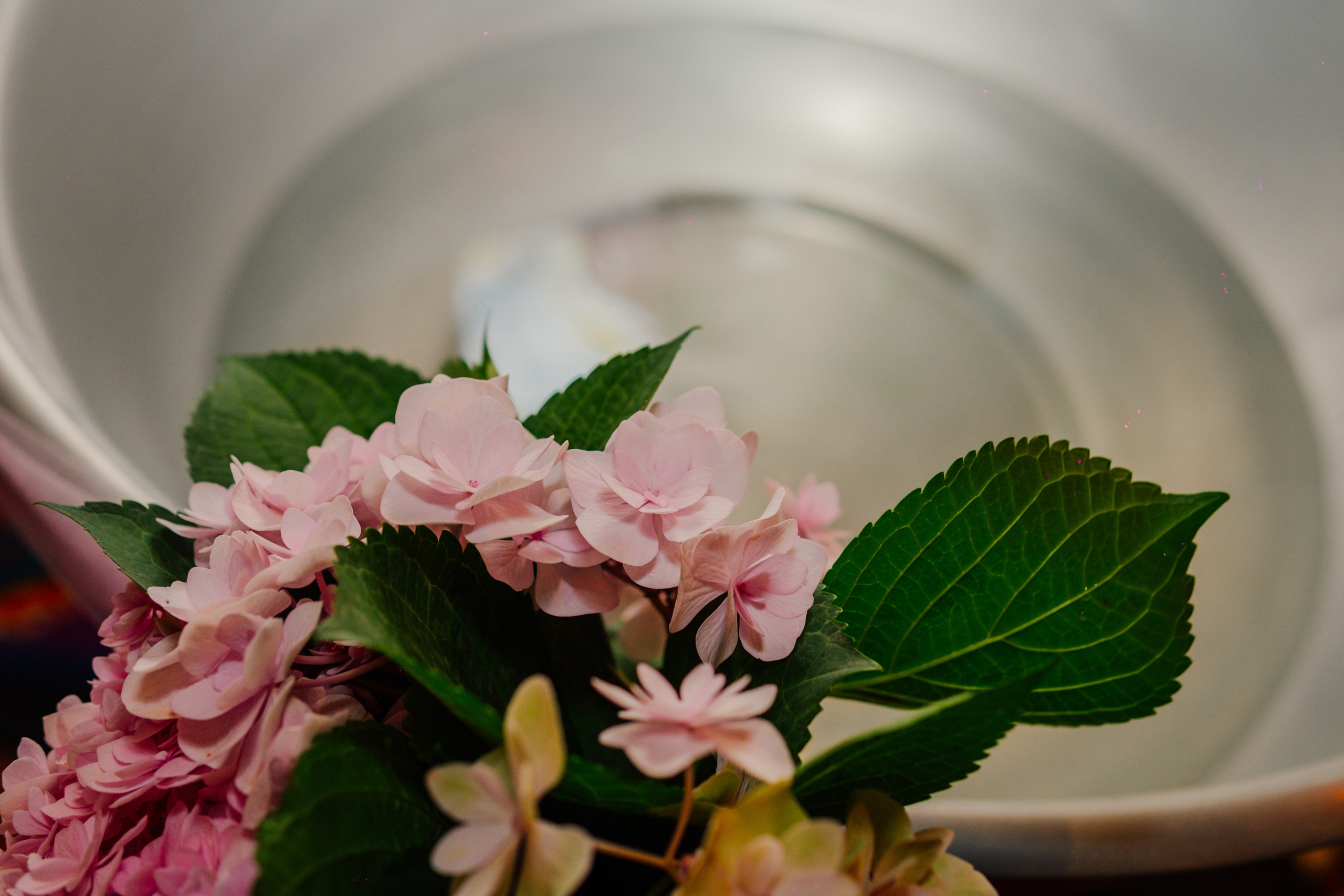 Theia. Grosu Photography