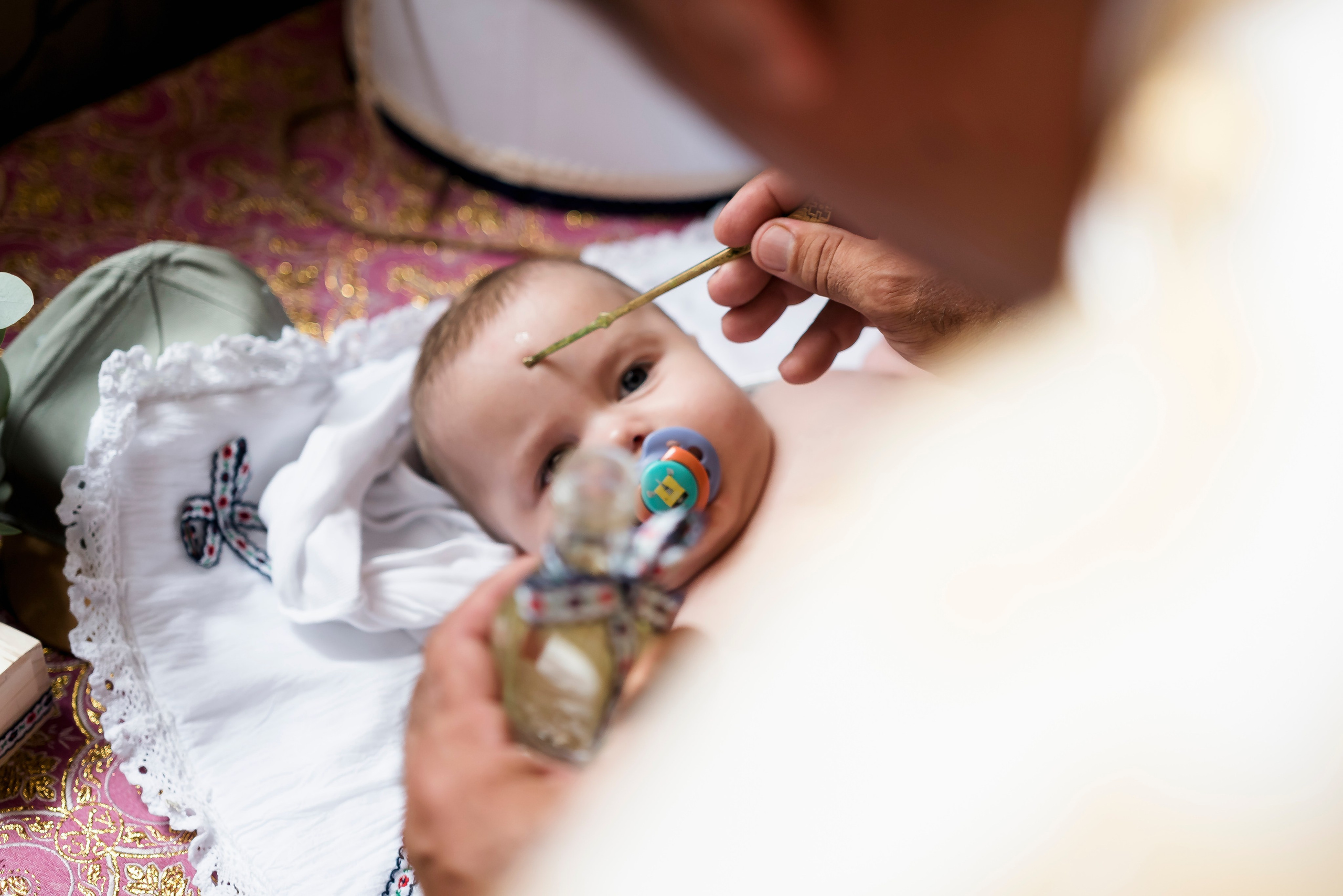 Fotografii Nunta + Botez Ciresul Salbatic. MDimaFotoStudio. Fotograf de nuntă, evenimente private și de familie