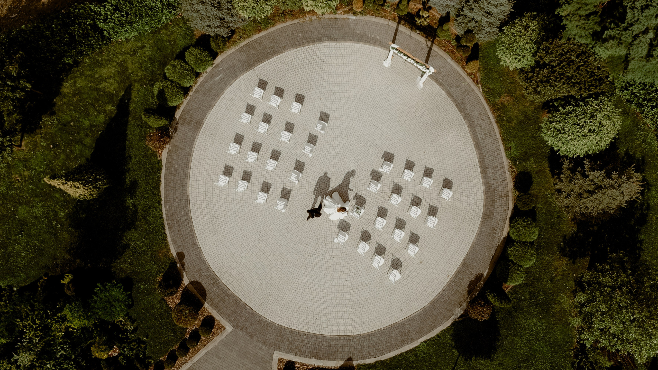 Wedding & Family photographer Jelena Anđelić