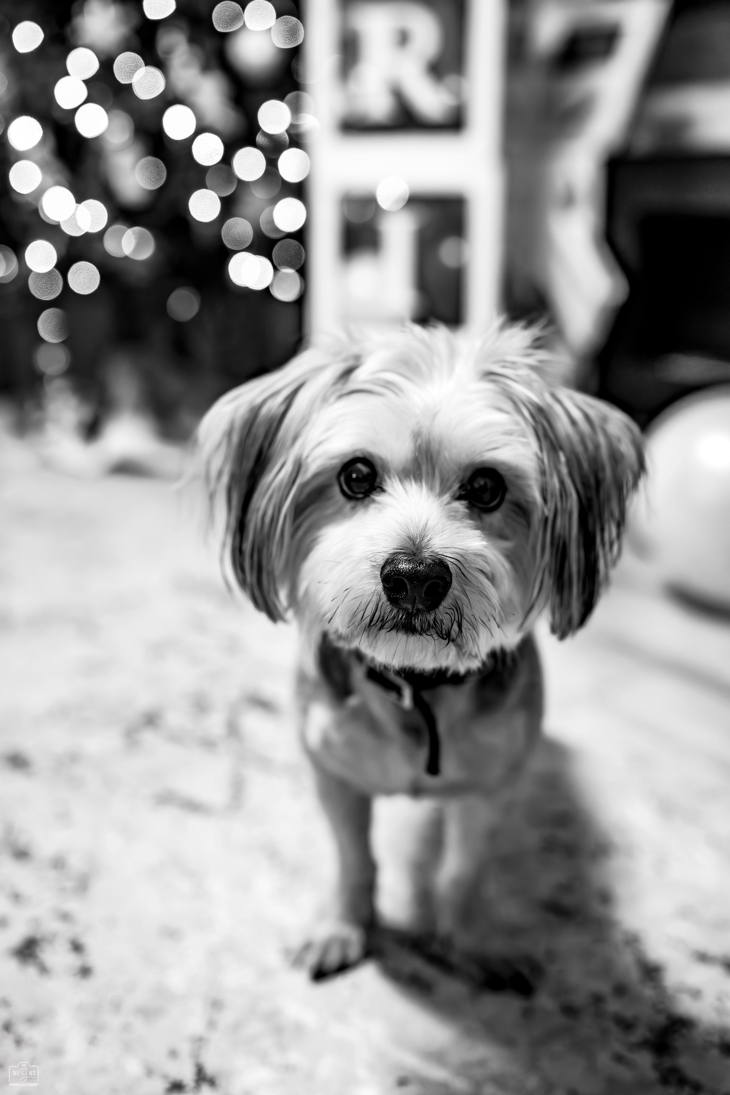 Botez Aris Nicolas – Fotograf Copii Londra | NIGHT LENS