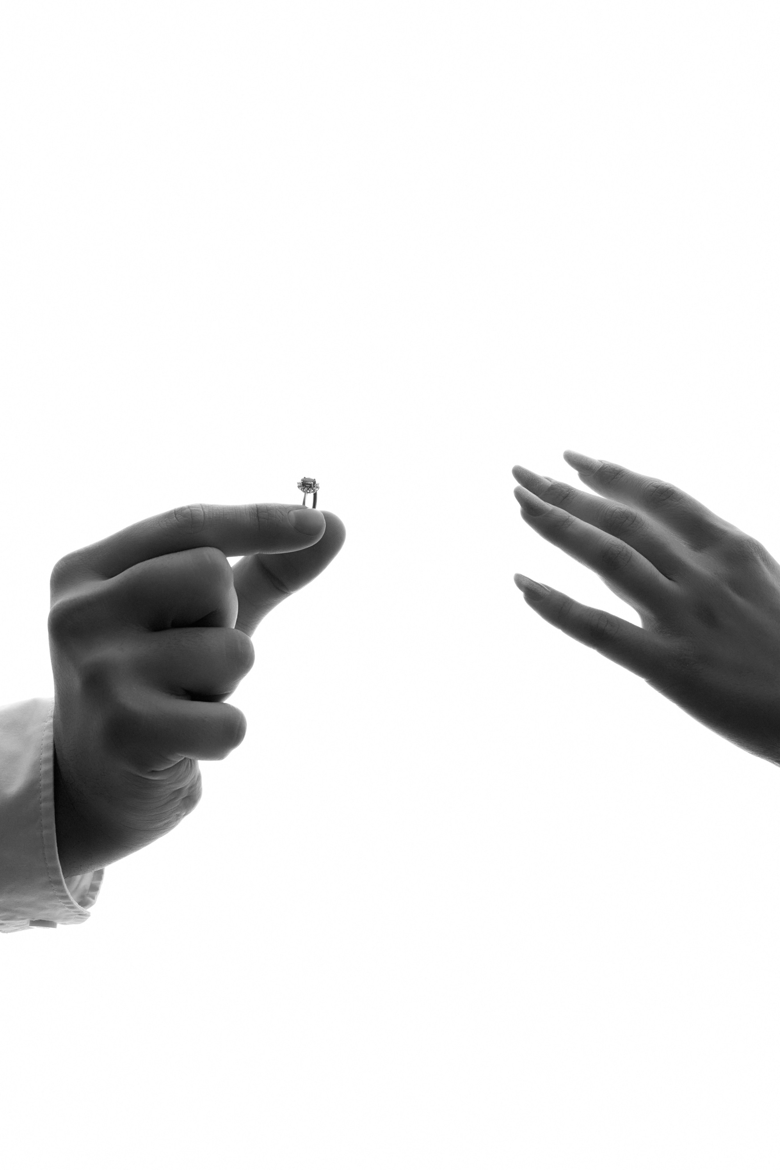 Portfolio. Ioana Timis