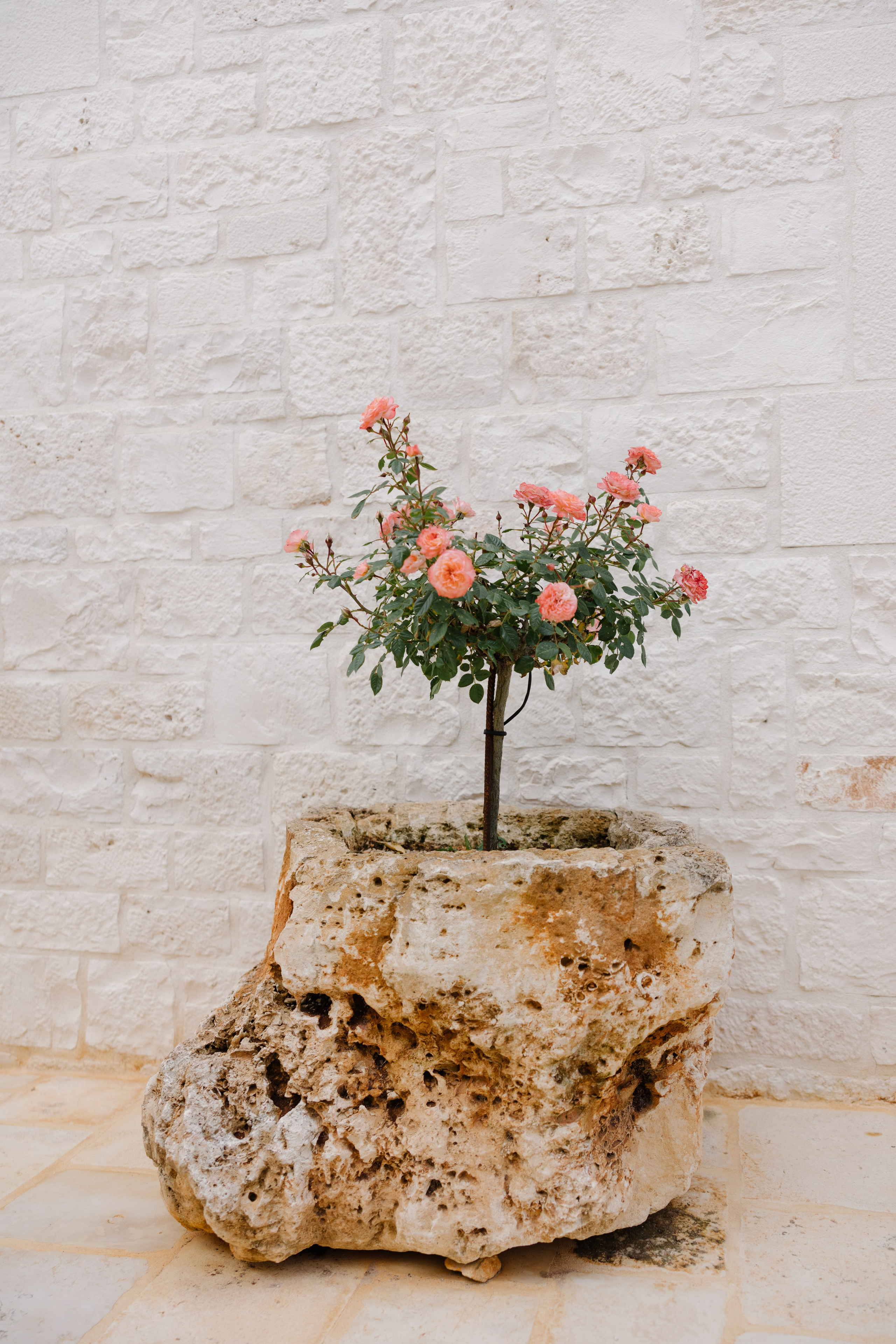 2. Весільний фотограф Вікторія Саврук