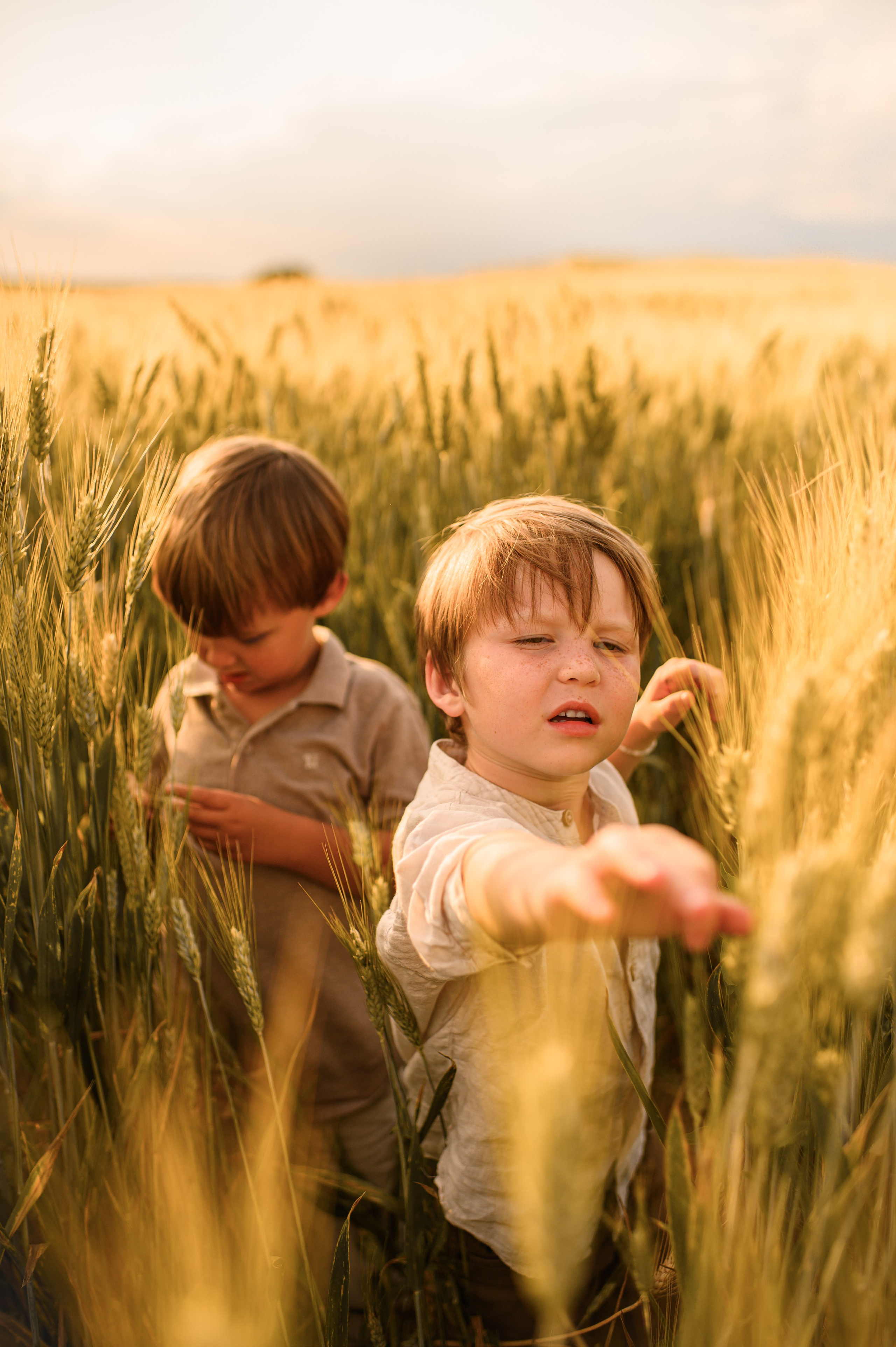 Wheat fields. Family, children, portrait, and event photography in Thessaloniki