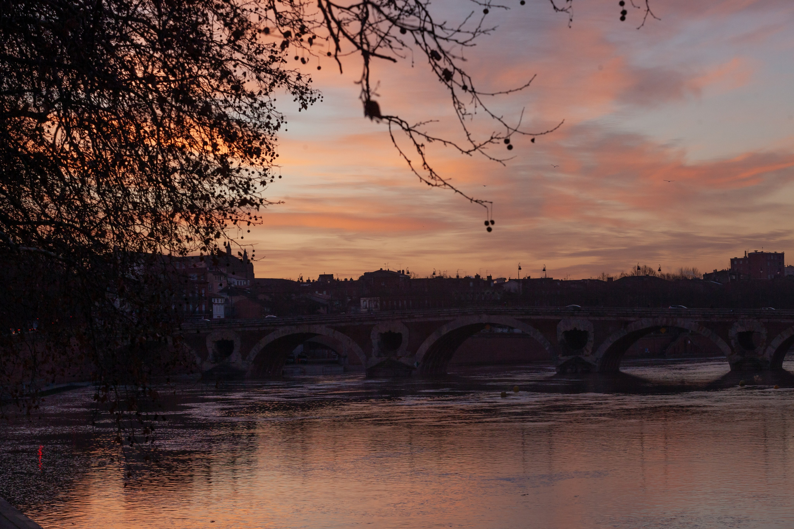 Toulouse. Eugénie Smirnova — Photographe à Toulouse et dans le Sud-Ouest