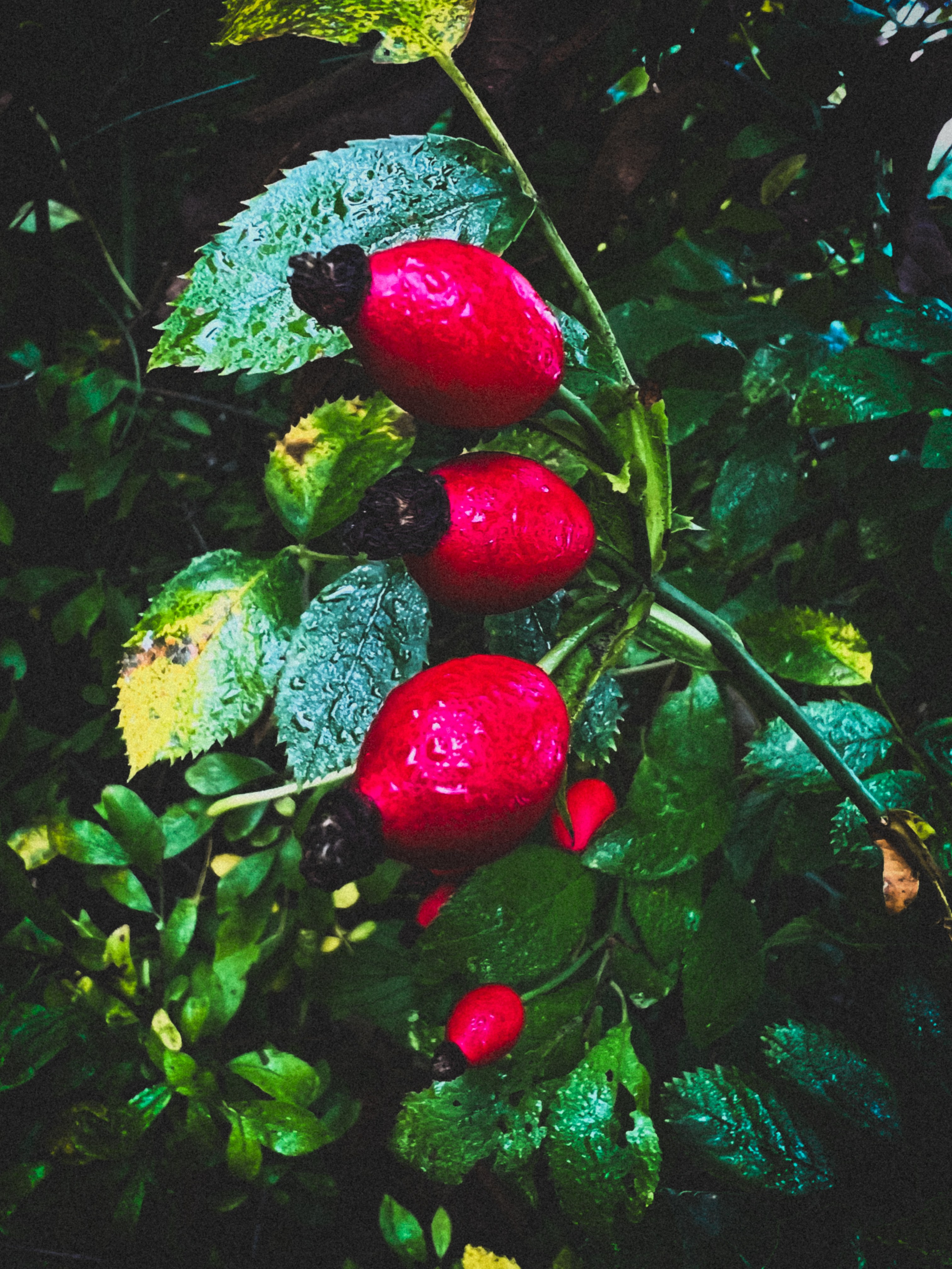 Ästhetik. Fotografin Kati Rebling