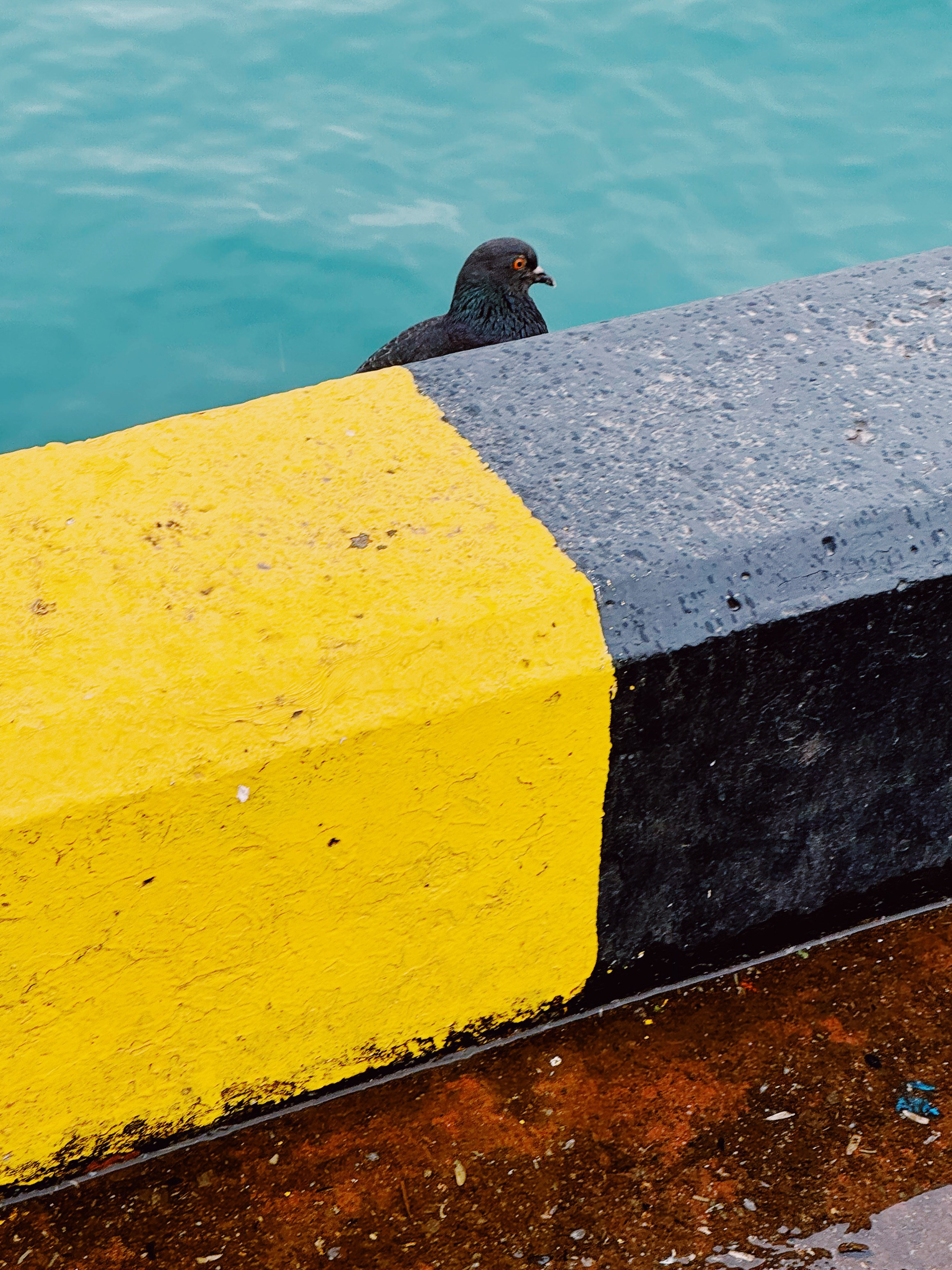 Street. Maria Sher. Professional photographer from Porto, Portugal