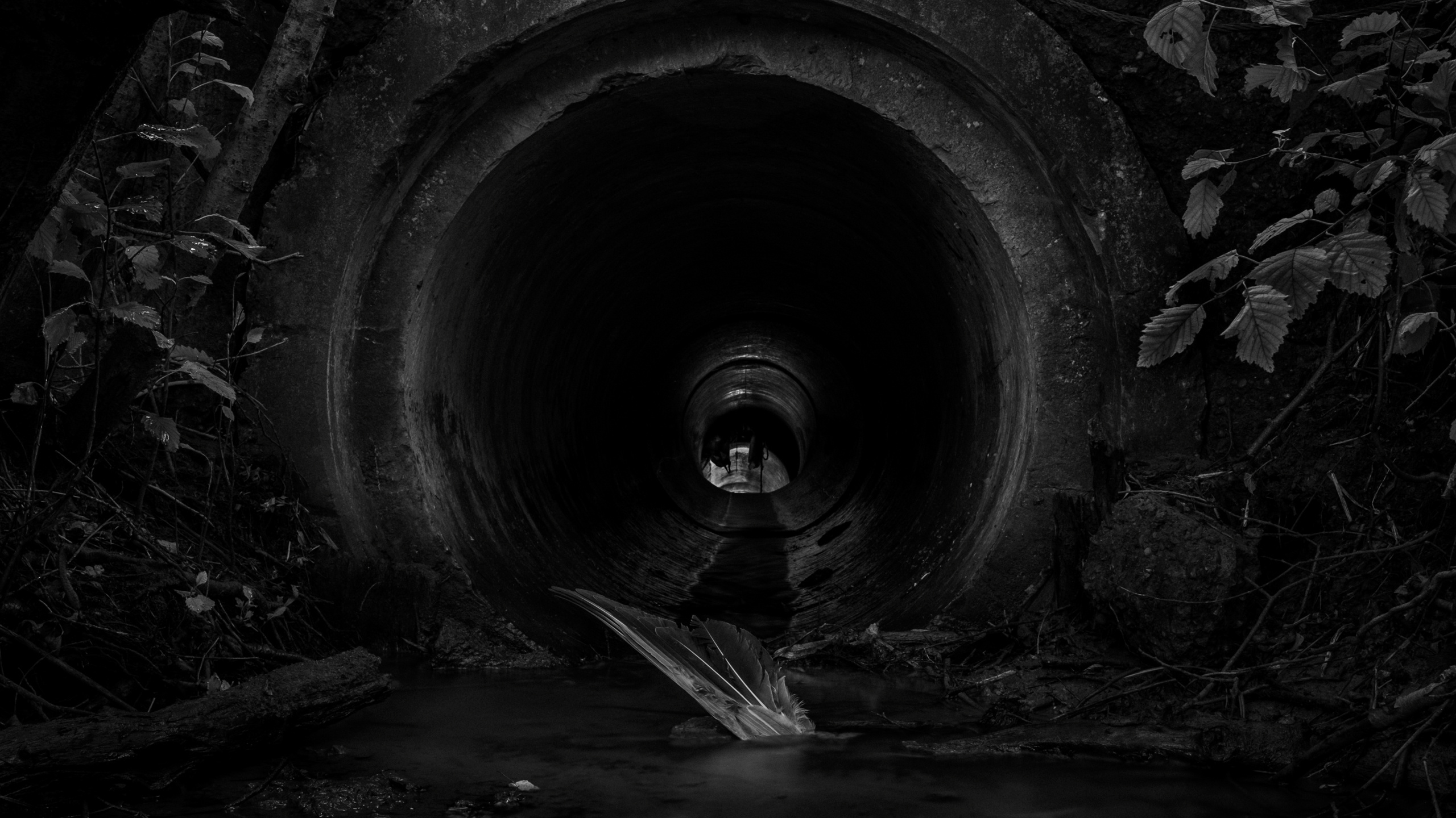 Неотвратимое. Main