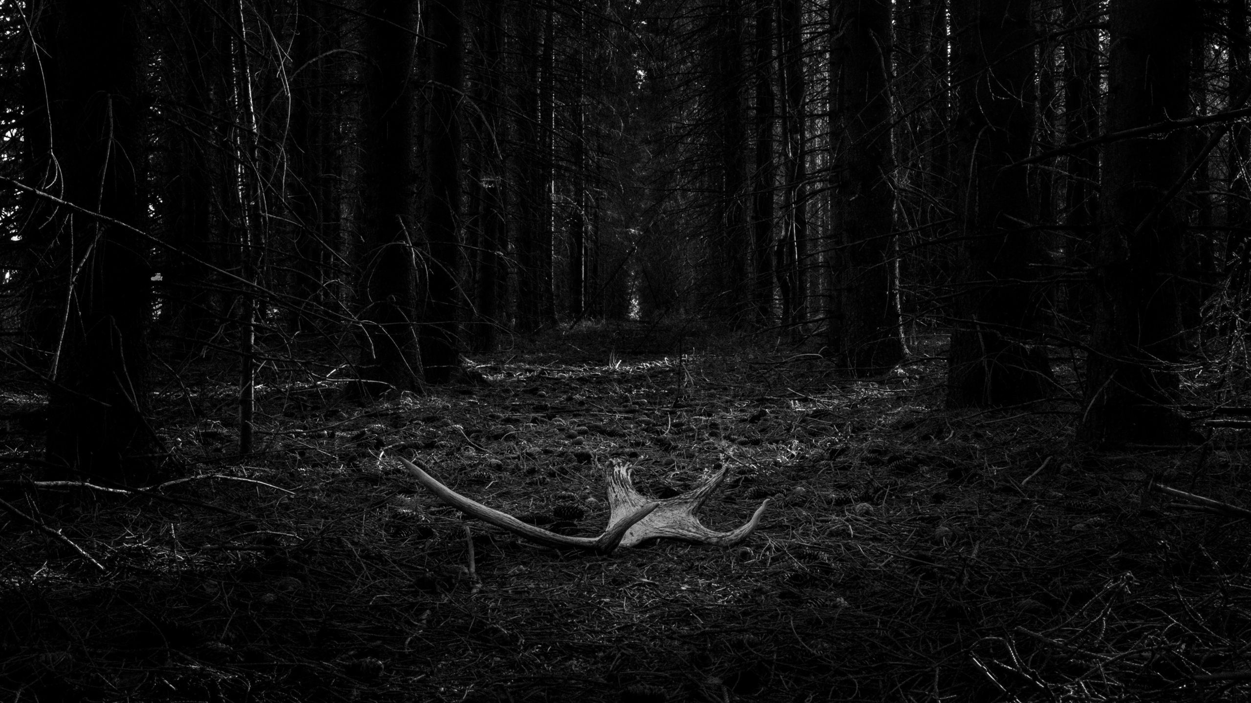 Неотвратимое. Main