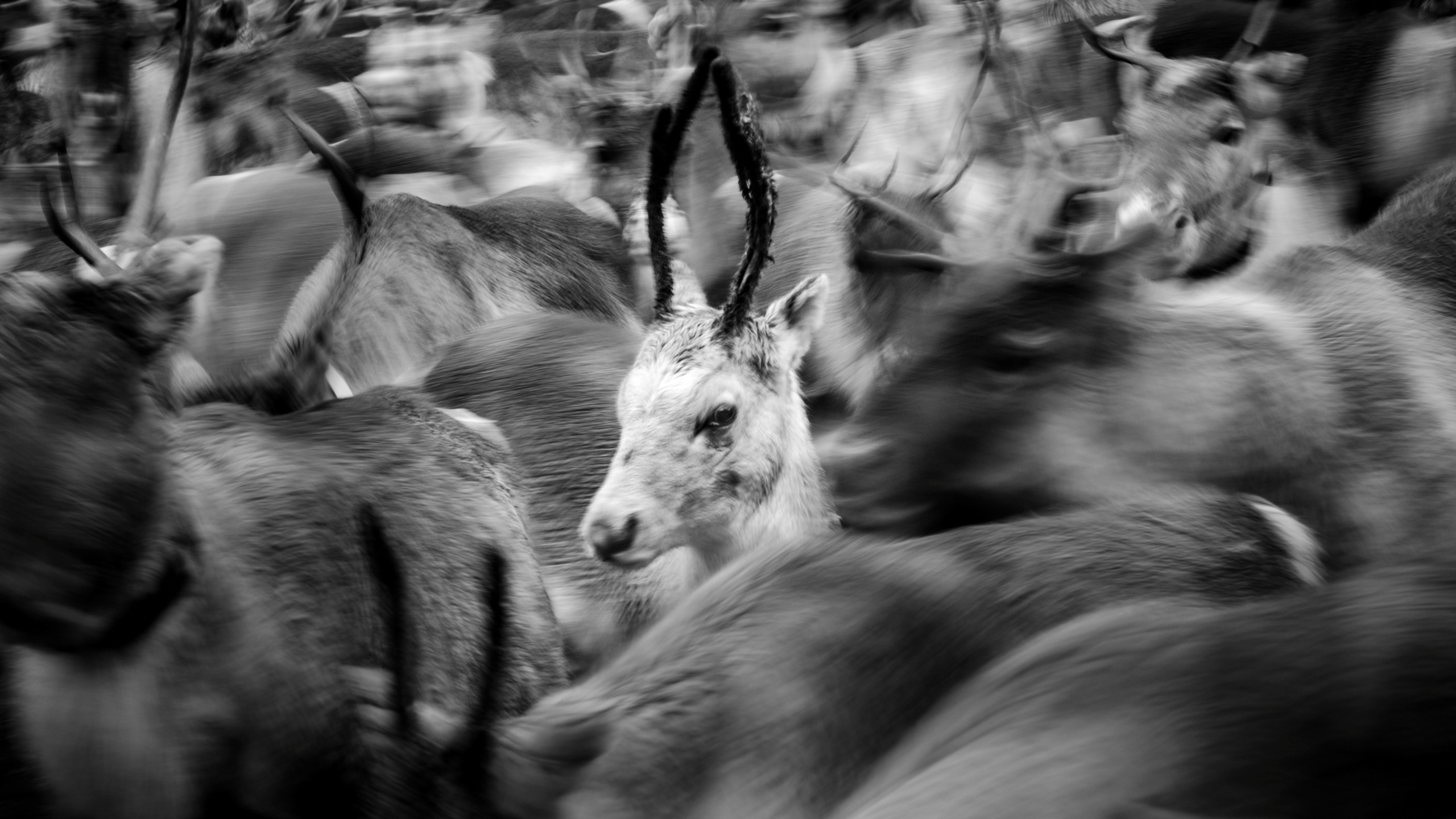 Неотвратимое. Main