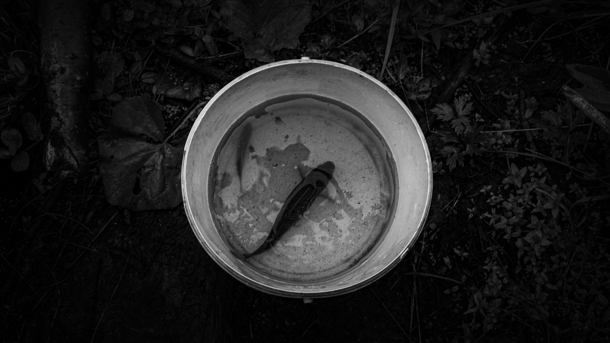 Неотвратимое. Main