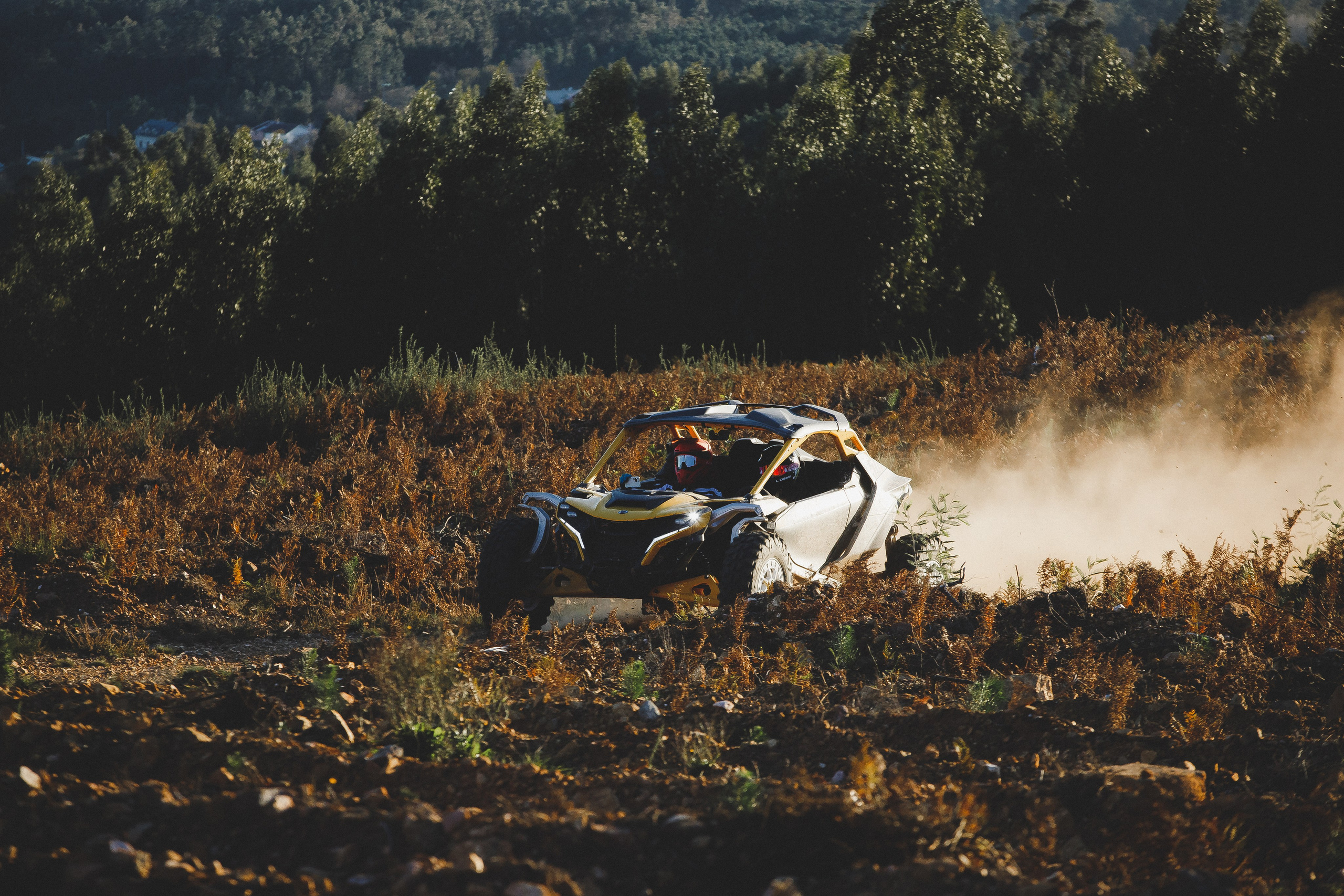 Reportage sport. Wedding photographer and videographer Europe