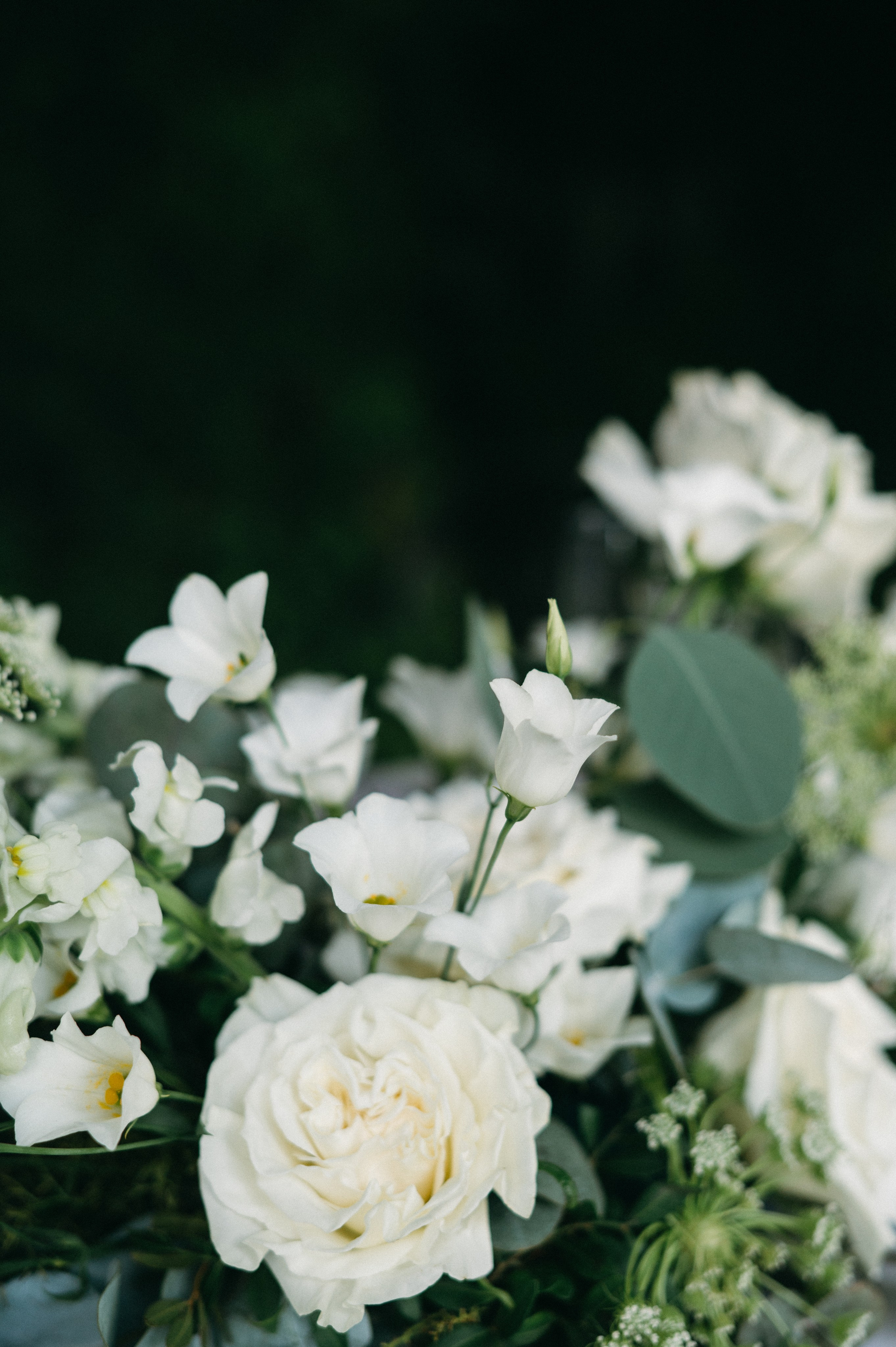 Lake Como wedding. Lake Como Photographer — Proposal | Wedding | Elopement