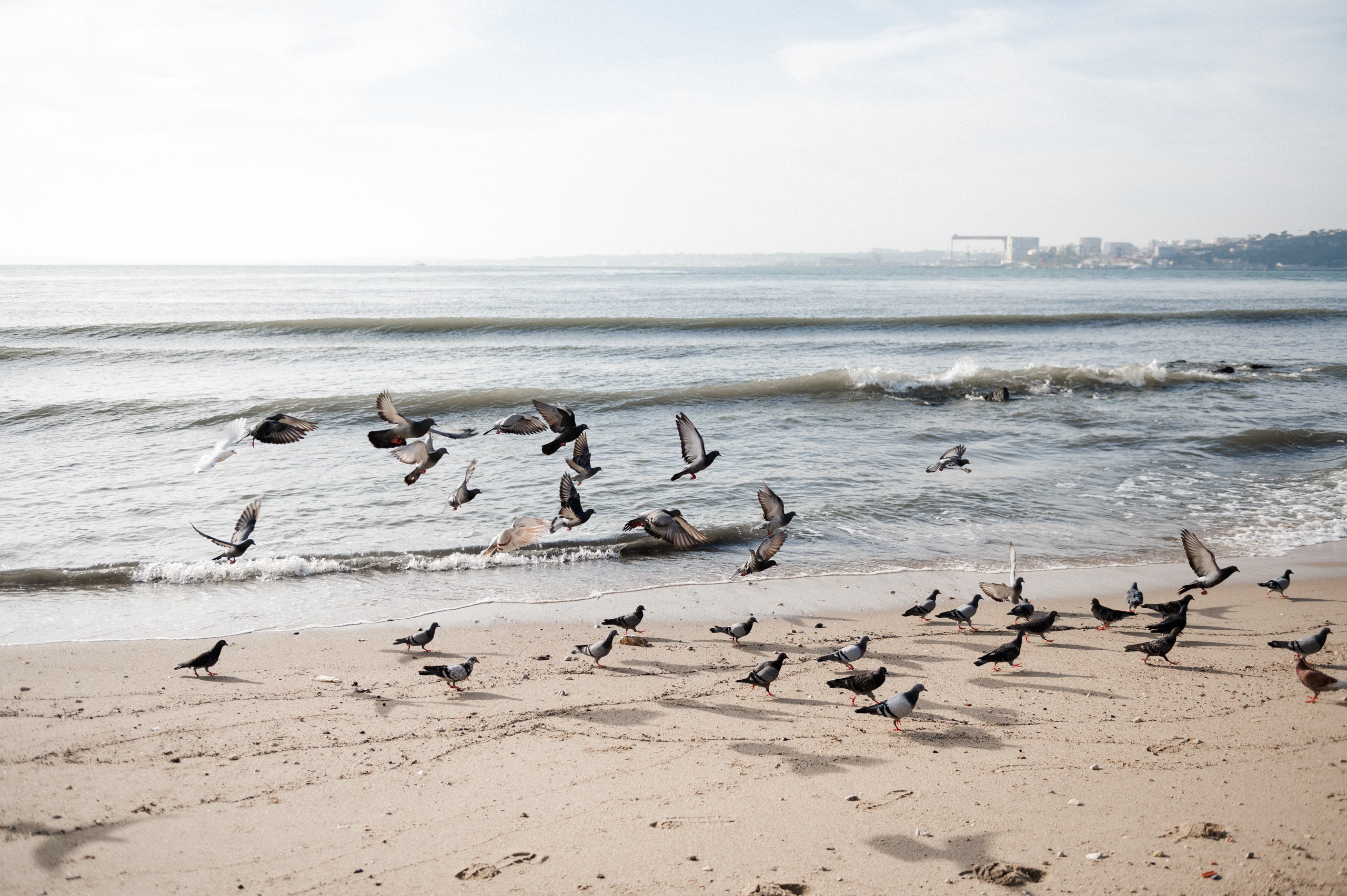 capture your family memories in Lisbon