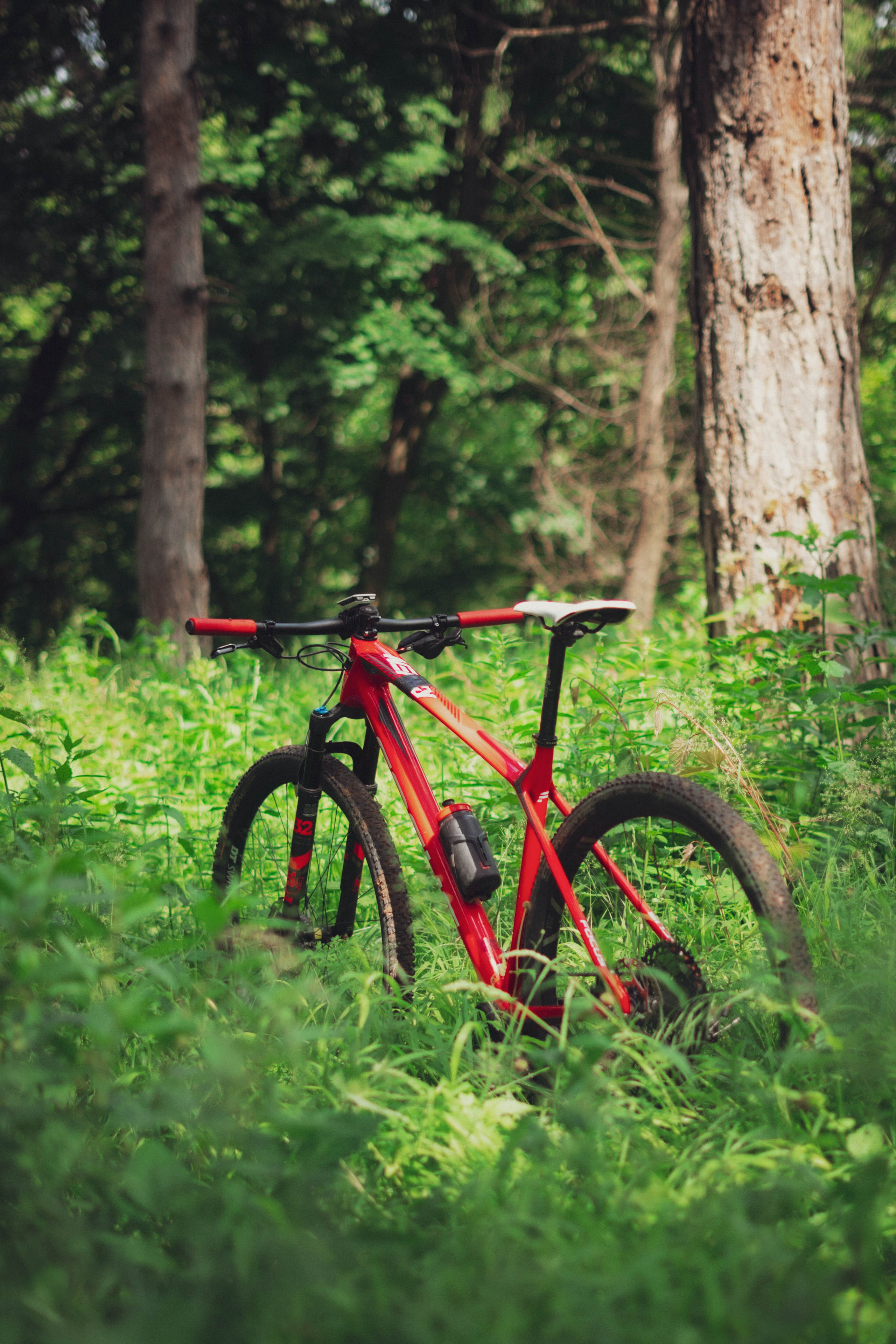 Redbull. Žukov Studio