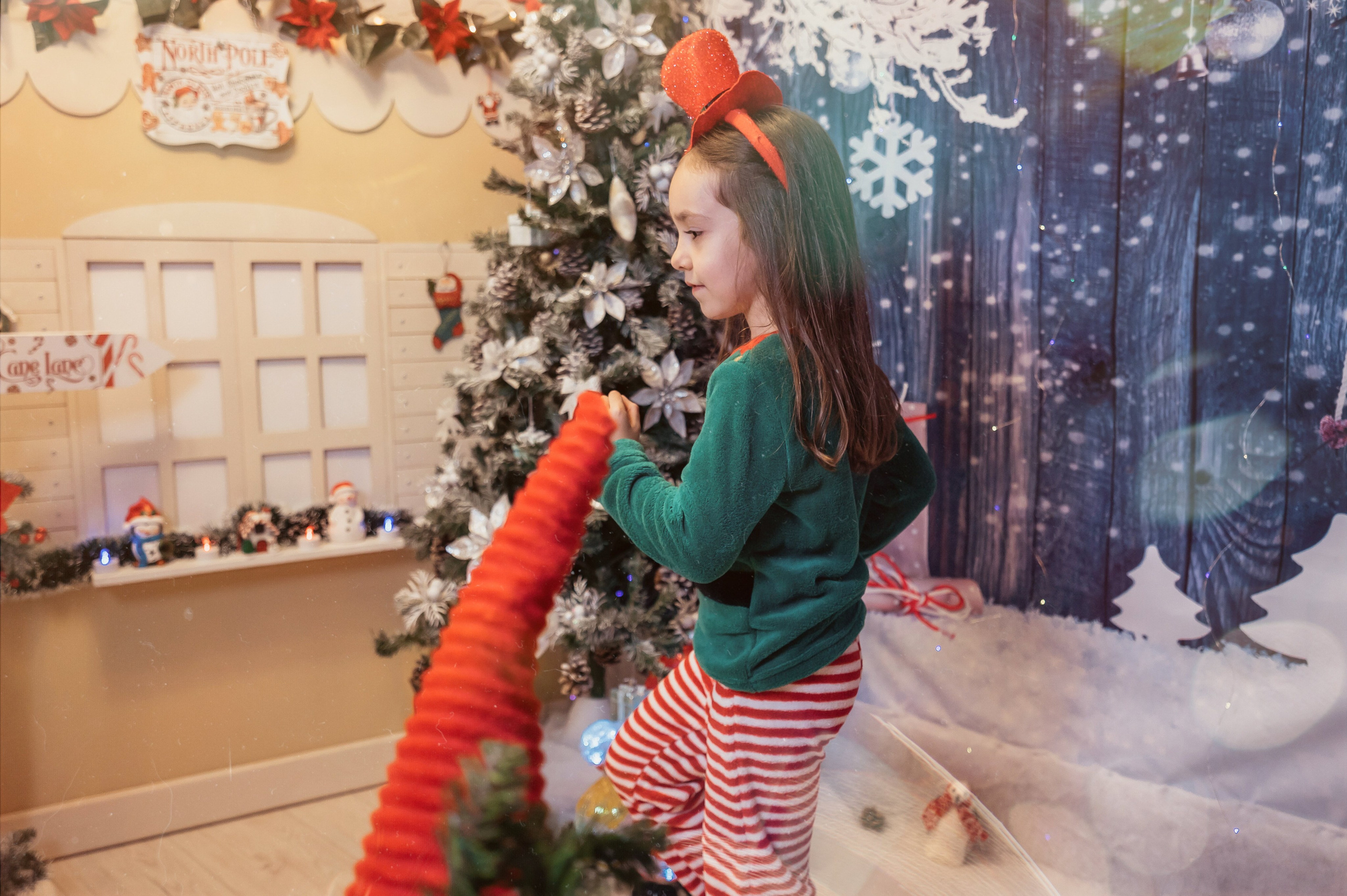 Sedinta Craciun Sofia