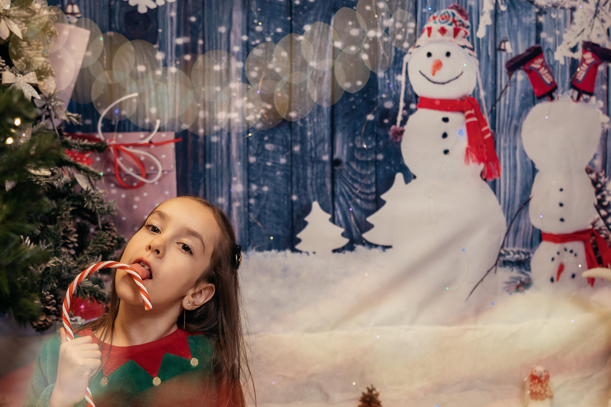 Sedinta Craciun Sofia