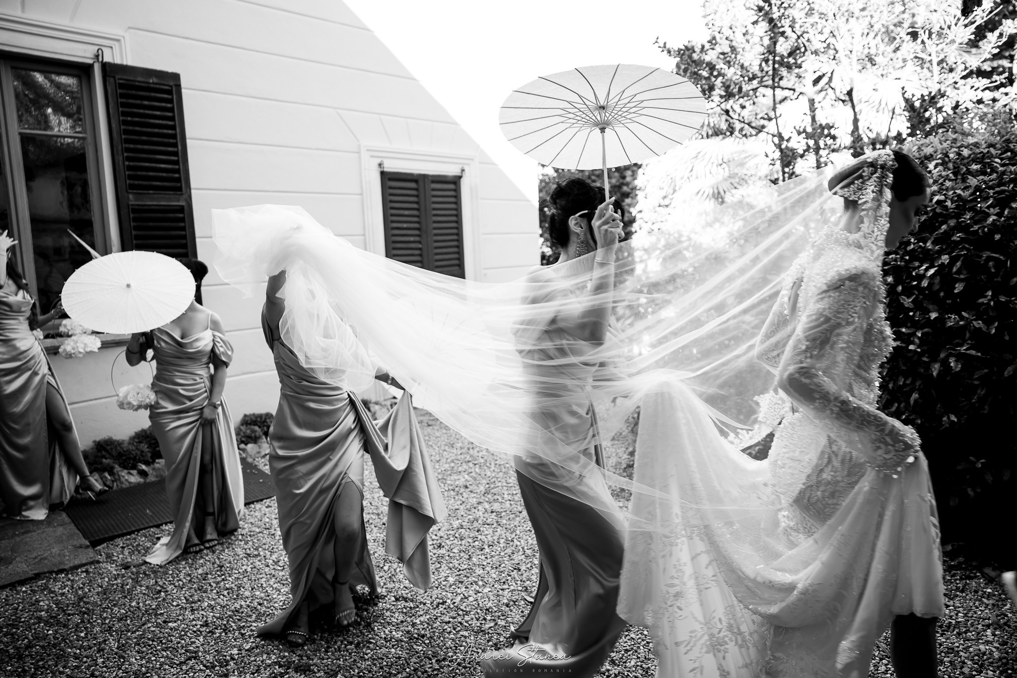 Portofolio. Andrei Stanea